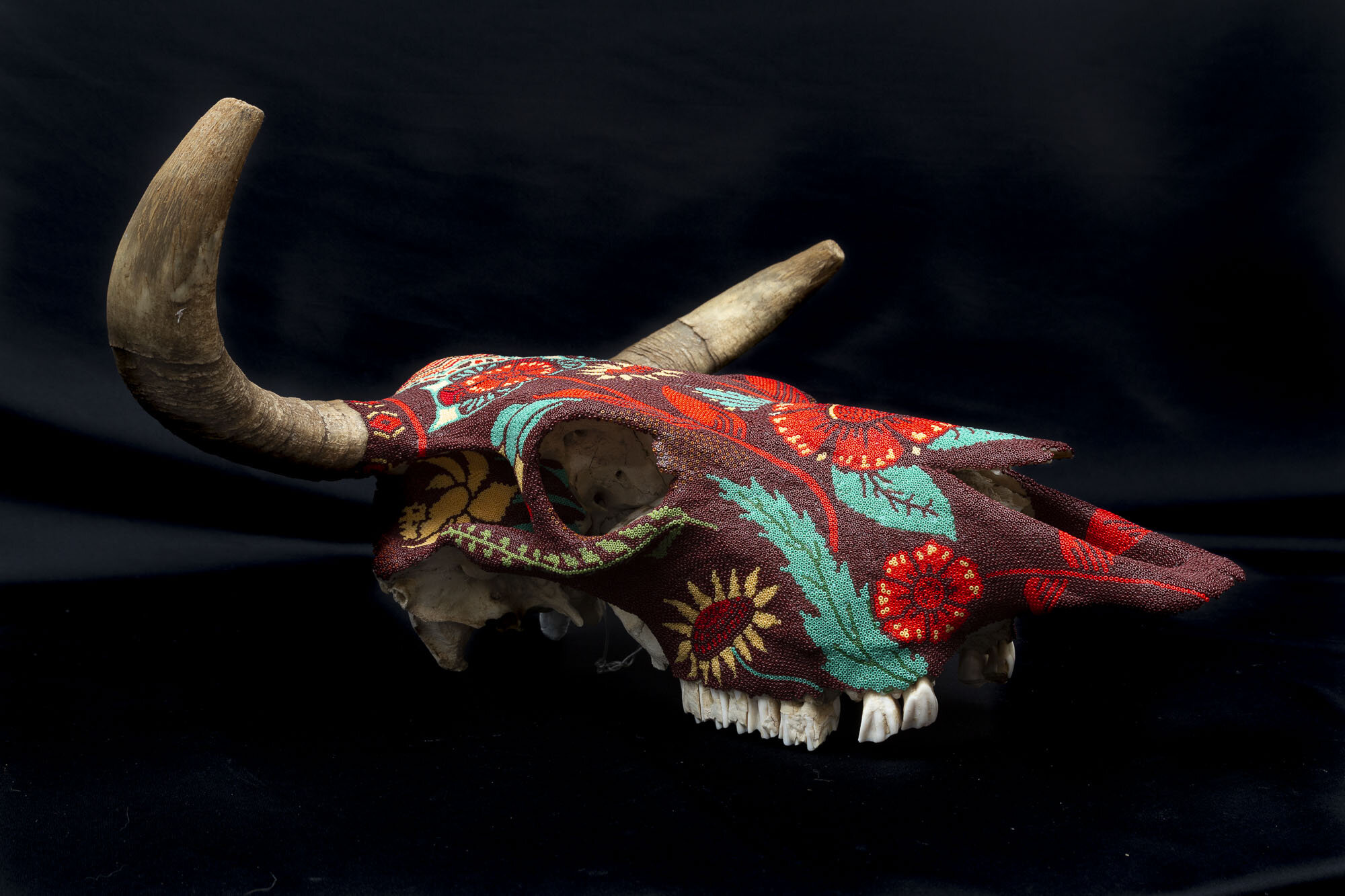 200426BULL SKULL 2020WEB HD__5.JPG