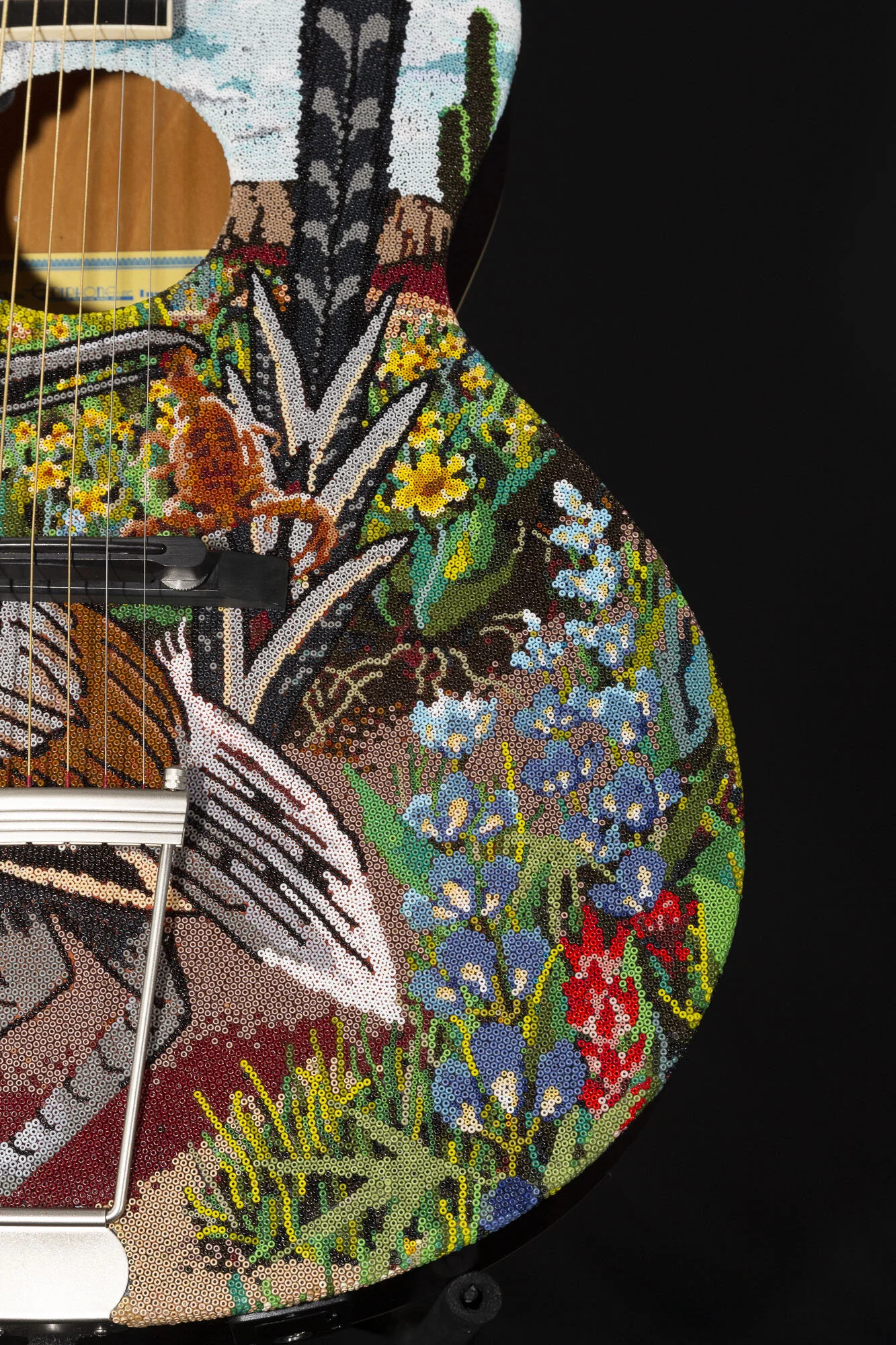 200316EPIPHONE ZENITHWEB HD_1.JPG