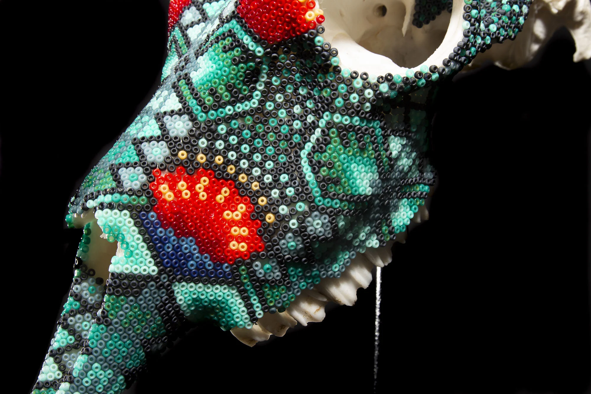 200526RIVERS BLACK BUCKSWEB HD__4.JPG