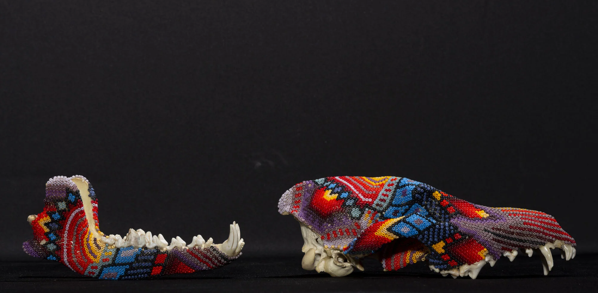  Detail shot of the beaded jaw bone and skull separated. 