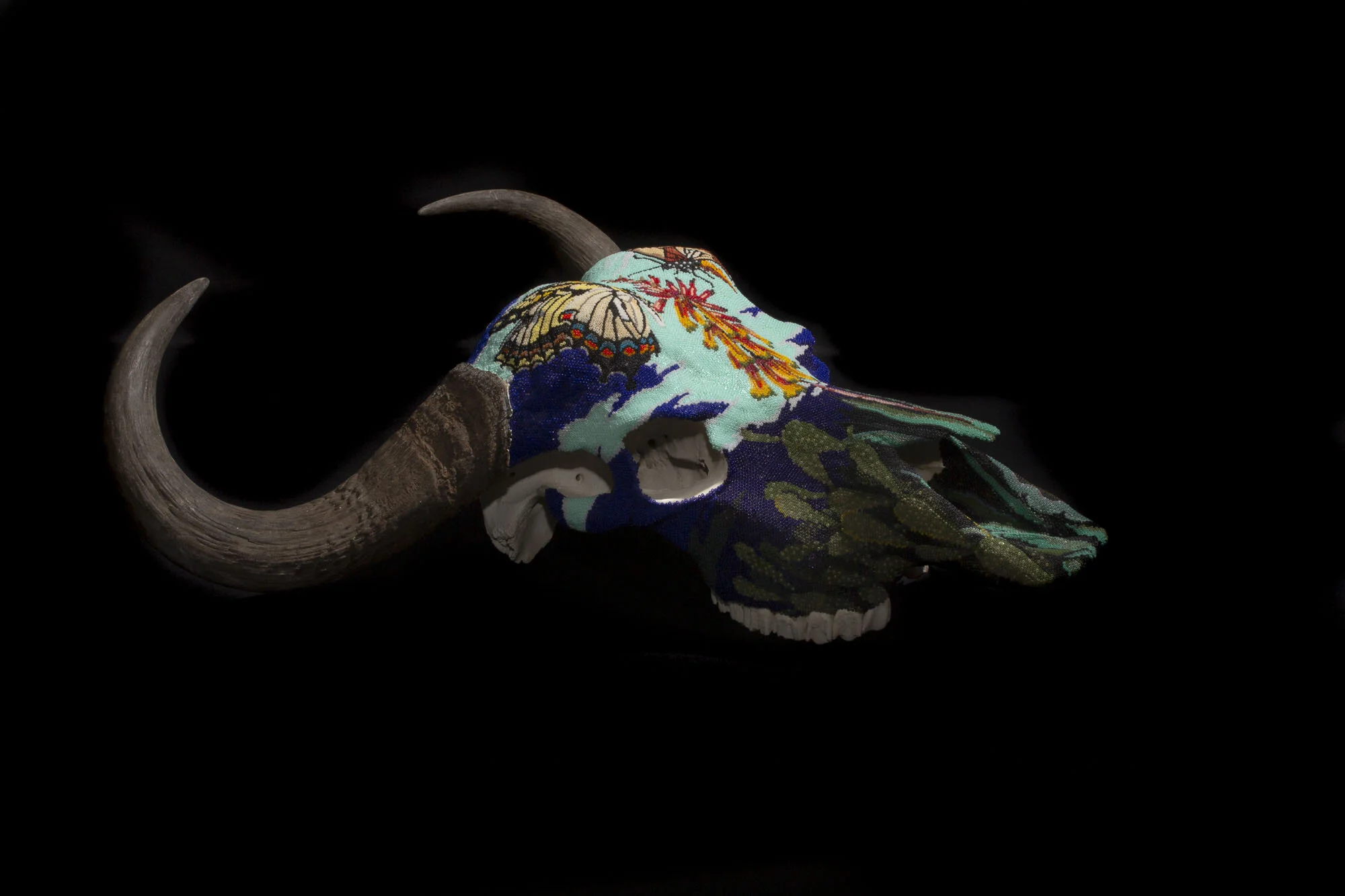  Design elements: Two butterflies landing on a blooming aloe flower. Prickly pear cactus and cereus cactus  