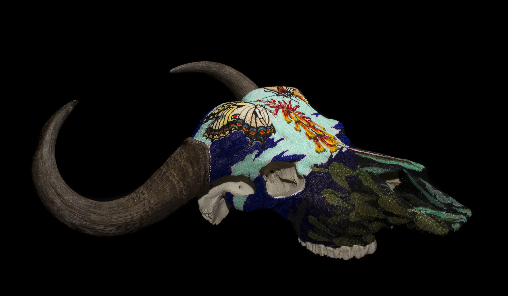 200714Butterflies and succulents_cape buffaloWEB HD__7.JPG