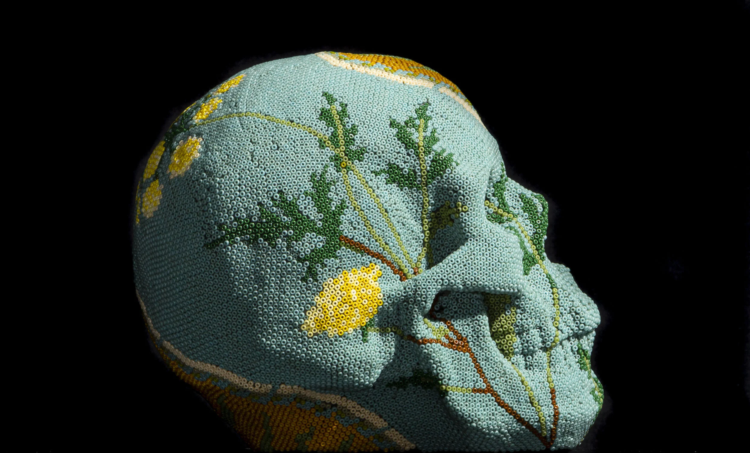 190911Human Skull IV_WEB HD.JPG