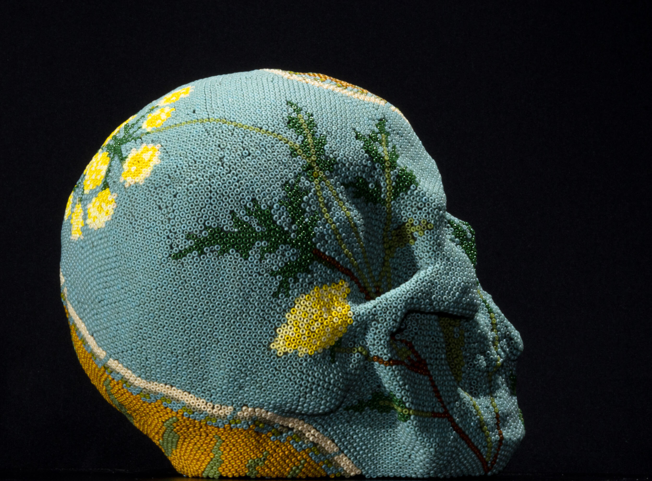 190909Human Skull IV_WEB HD_2.JPG