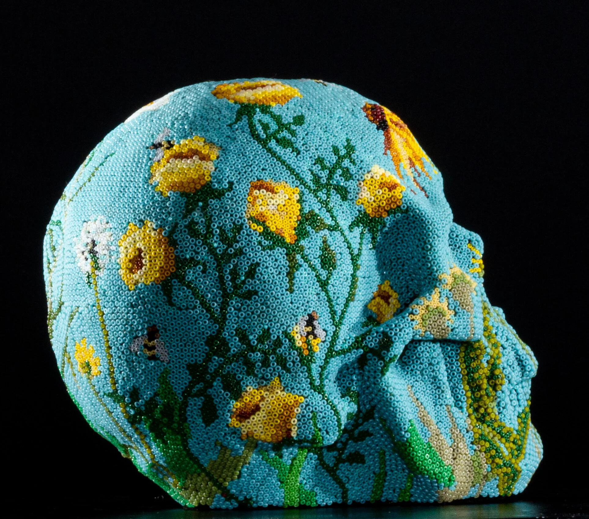190904Butterfly-Skull_sp_8.JPG