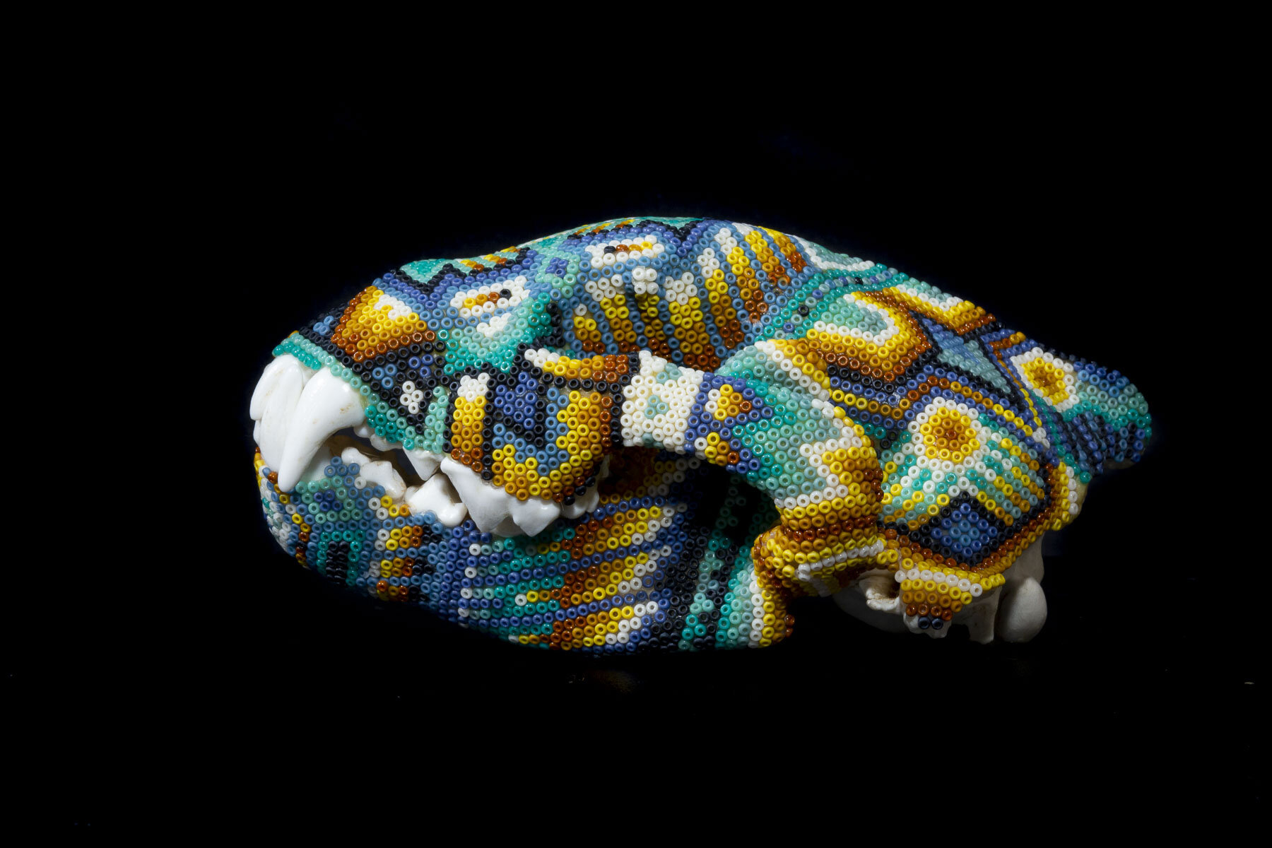 201222_wolverine skullWEB HD_1.JPG