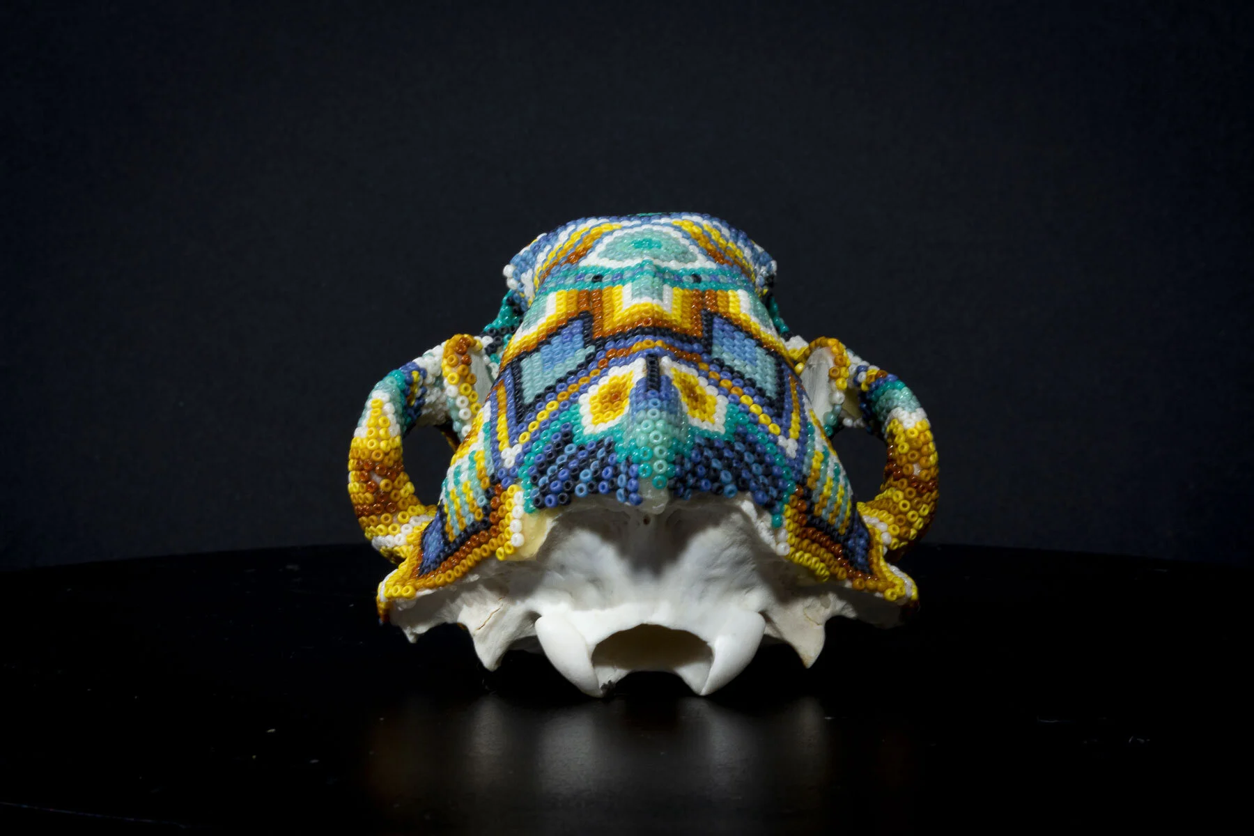 201222_wolverine skullWEB HD_2.JPG