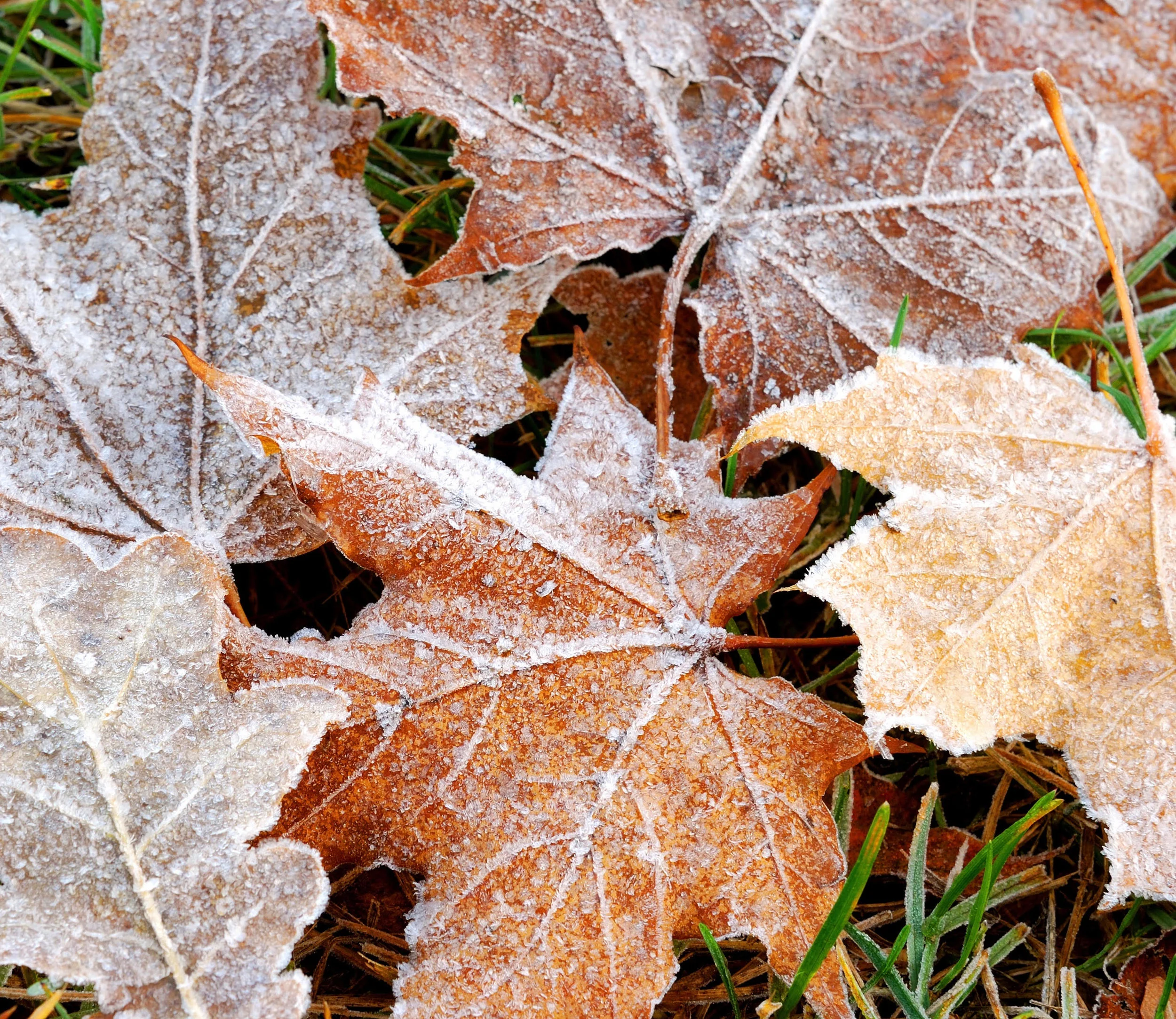 Episode 7: The Fast Track &amp; The Call To Stillness