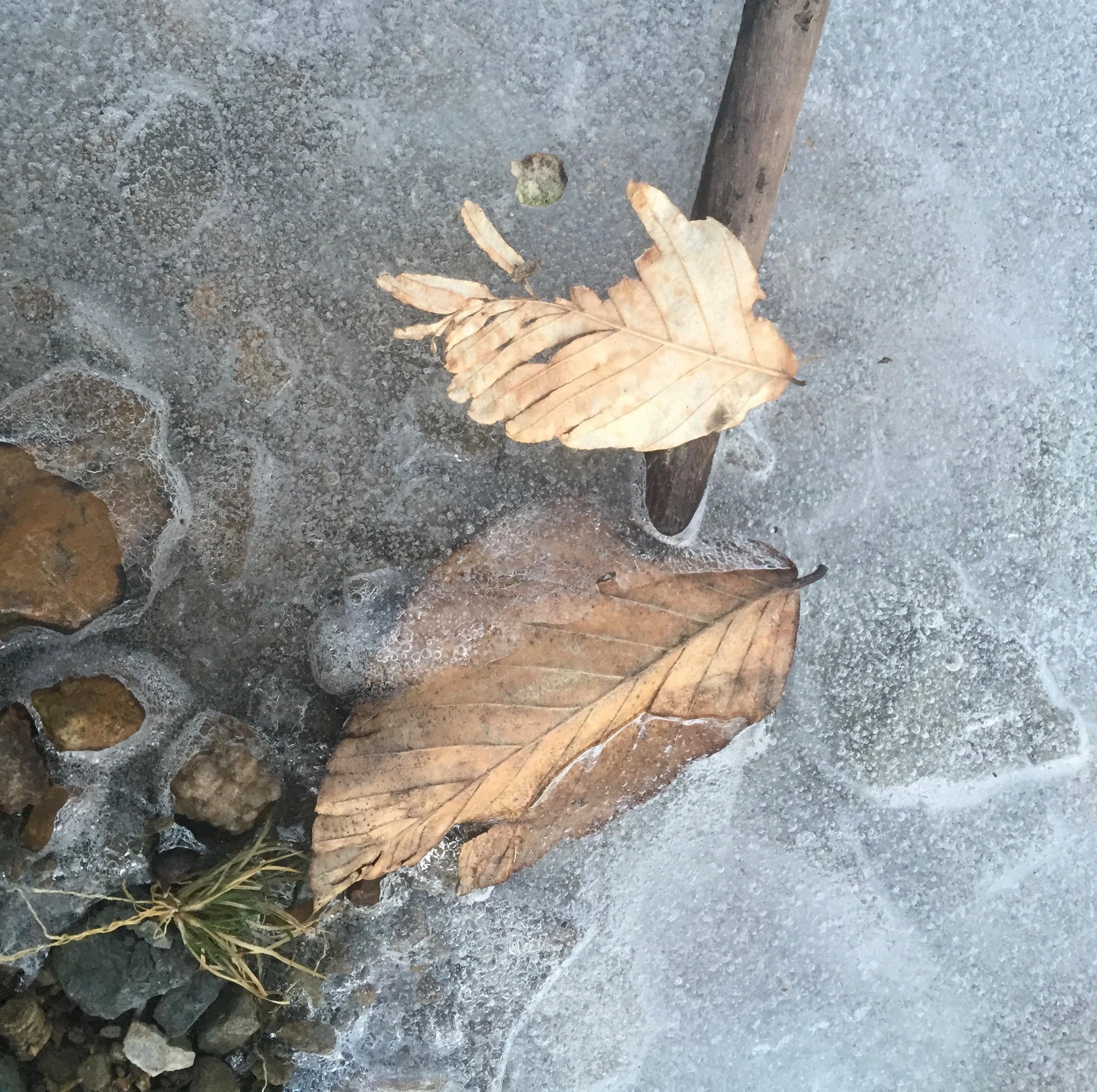 Episode 6: Begin Again