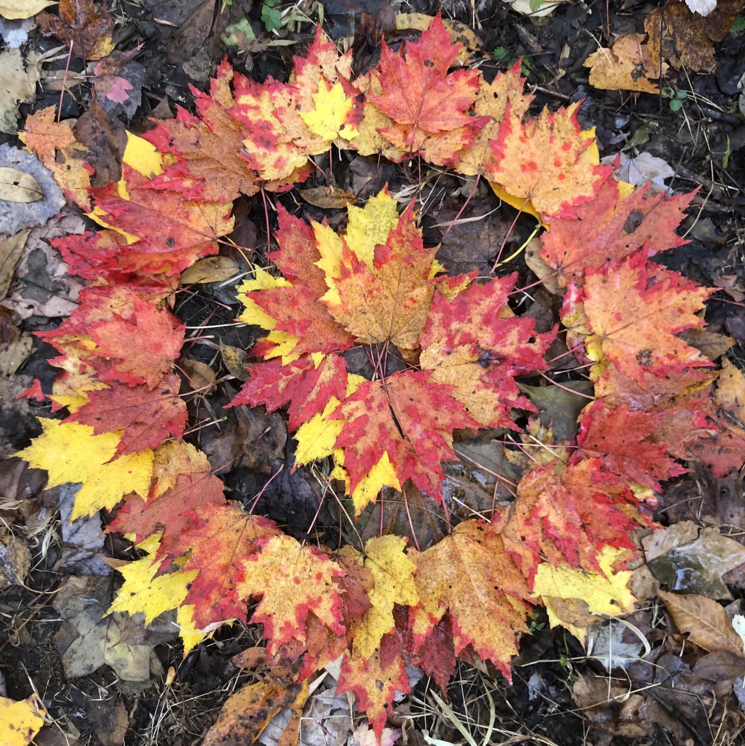 Episode 5: "The Gift" With Special Guest Naomi Shihab Nye