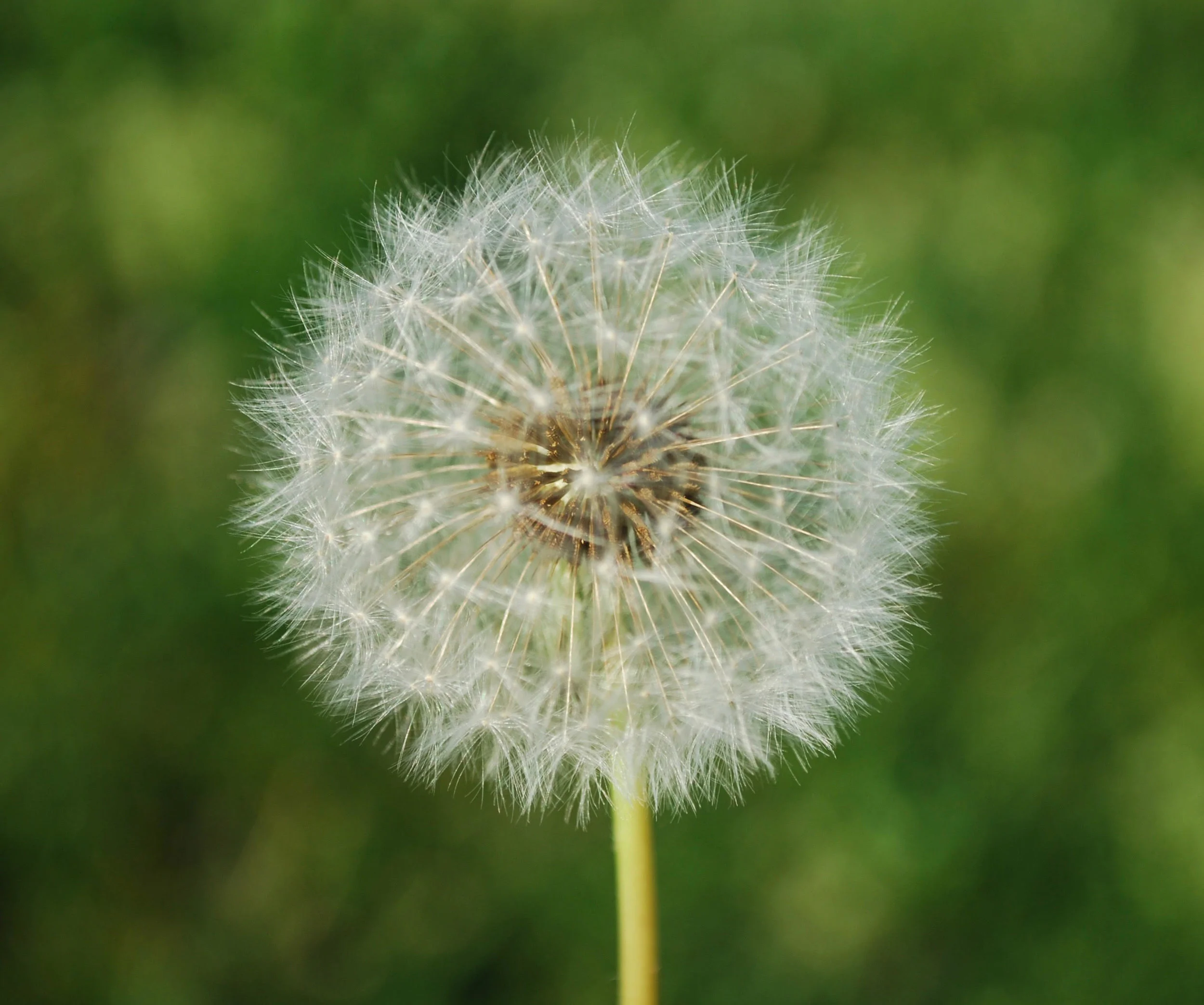 Episode 4: The Personal Meets the Political at The Growing Edge