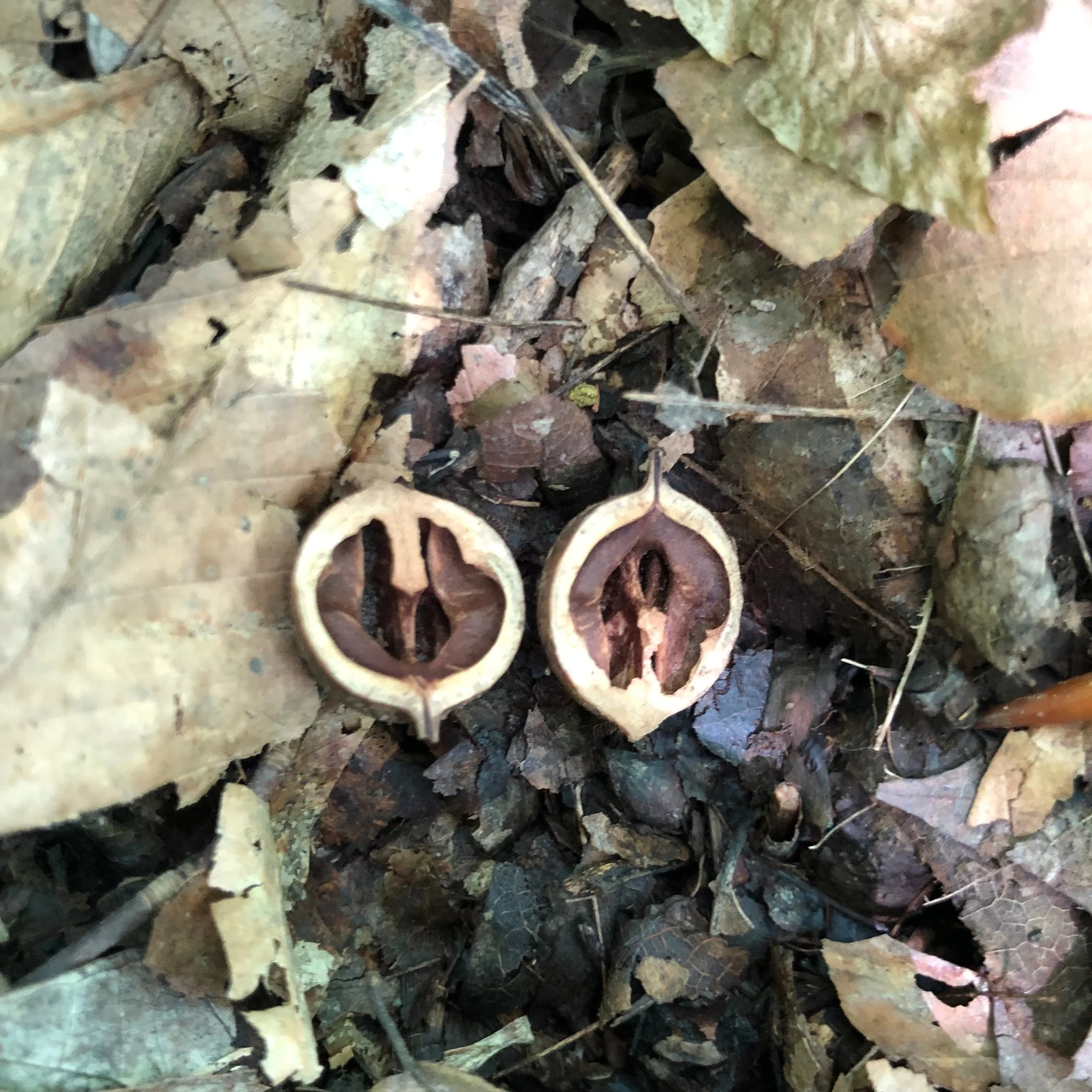 Episode 12: Within Us &amp; Between Us Is Everything We Need