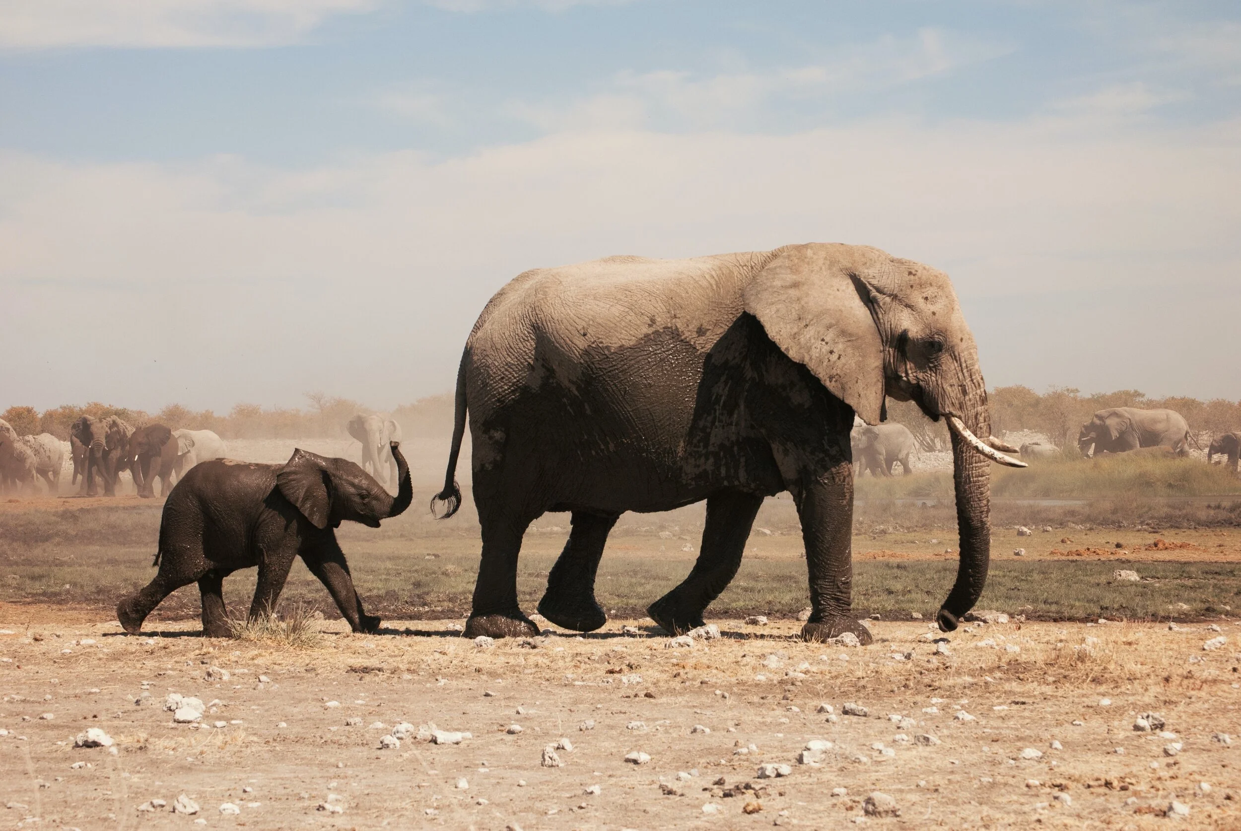 Episode 23: A Ritual to Read to Each Other