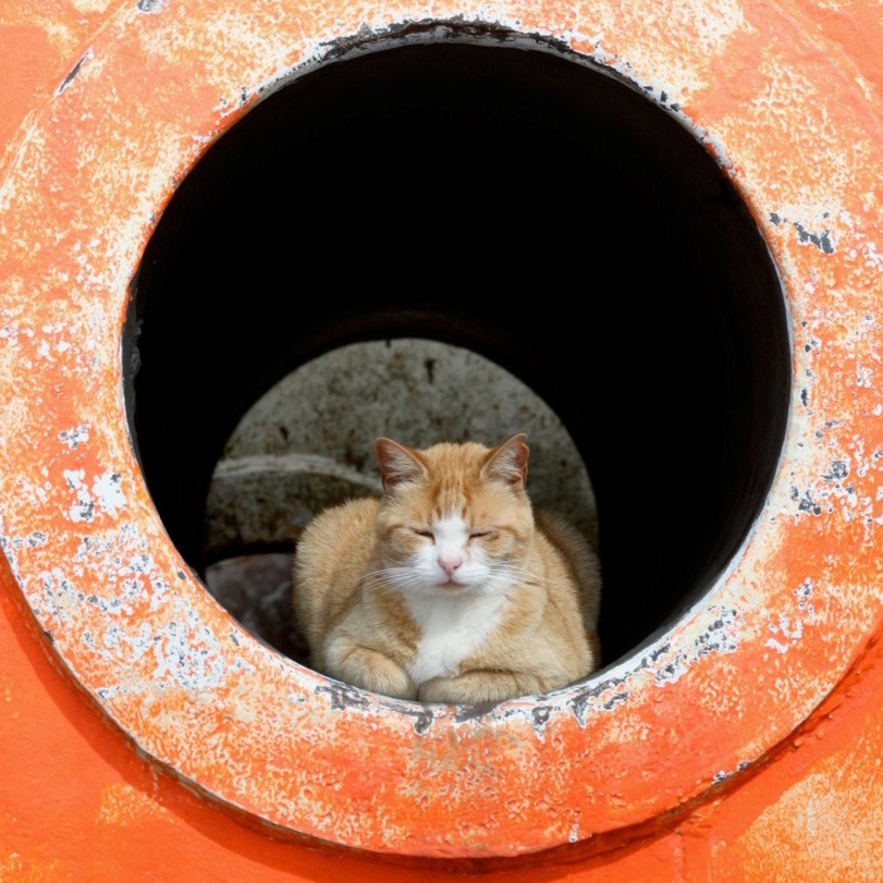orange tunnel.jpg