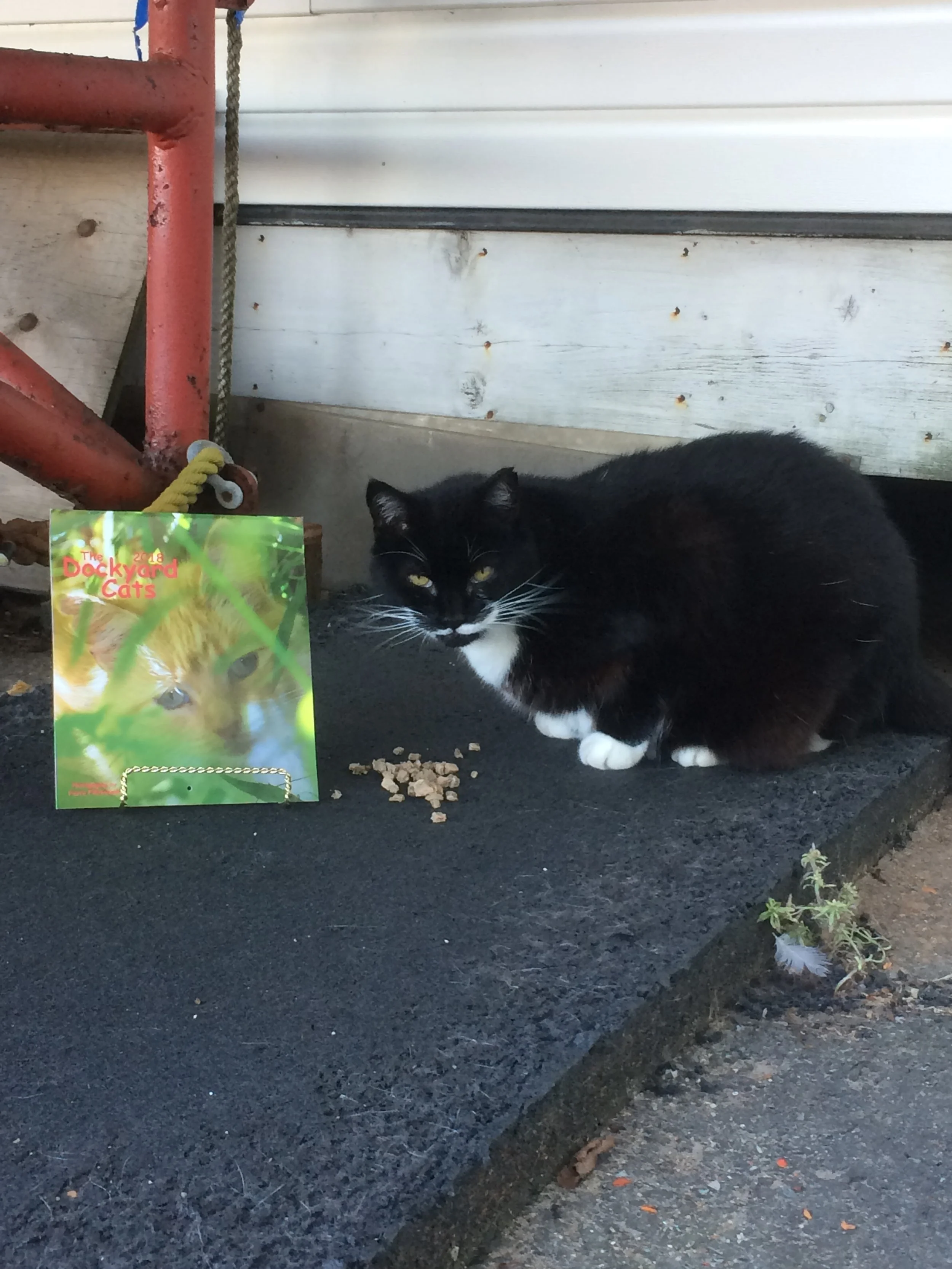 IMG_1243.jpeg