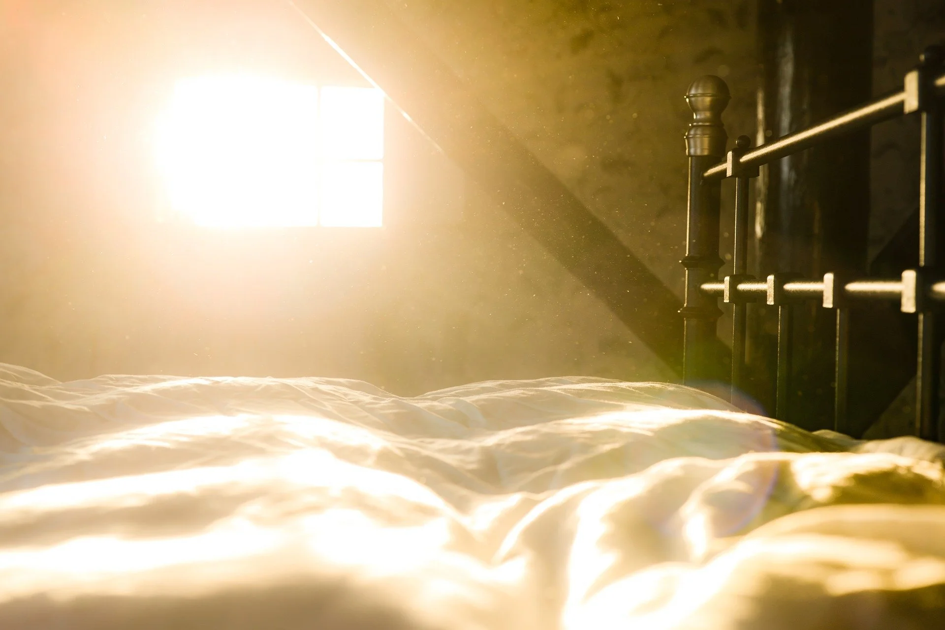 Good Morning Sunshine...