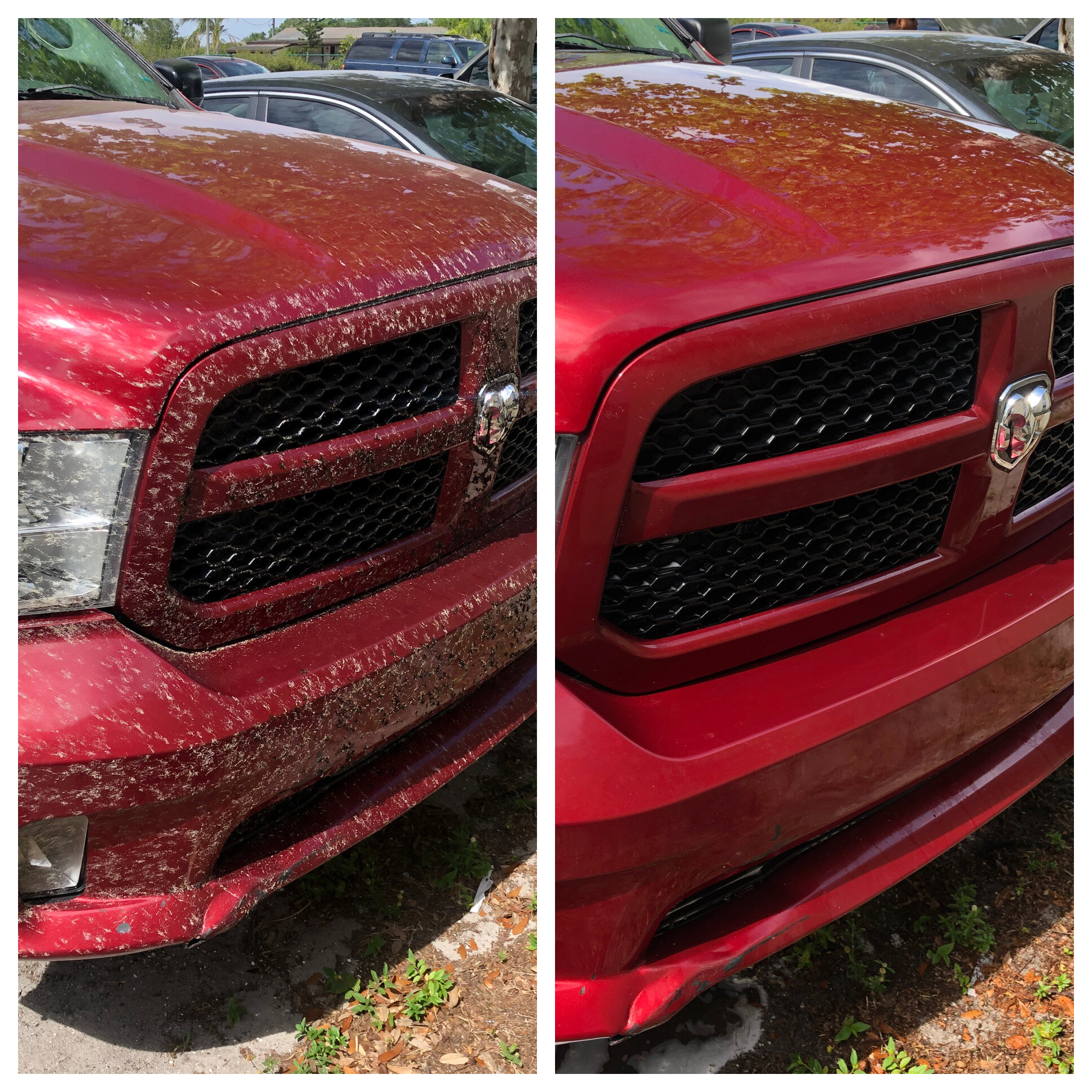 Before/After Detailing Service