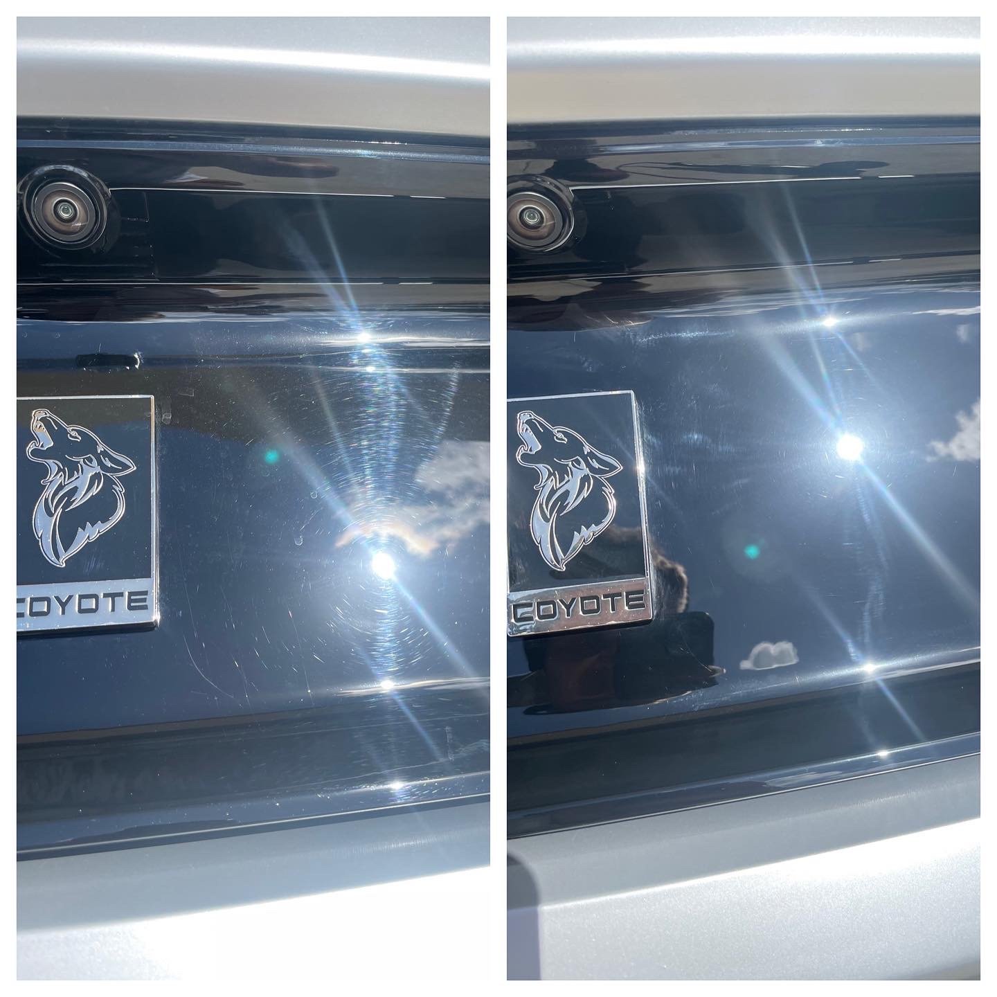 Before/After Paint Polishing Auto Detailing Service