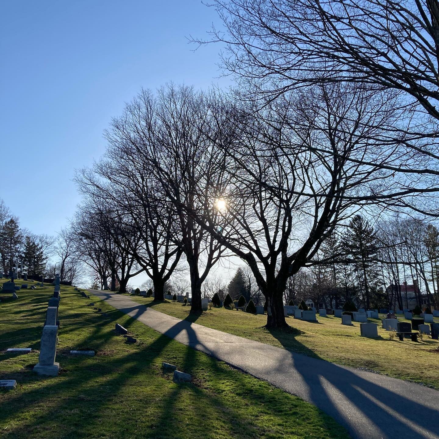 When blue skies return and before the buds begin to burst open, we experience that familiar feeling of possibility. We remember what it&rsquo;s like to walk barefoot on the earth and feel the sun warming our bare skin. Spring has a way of allowing us