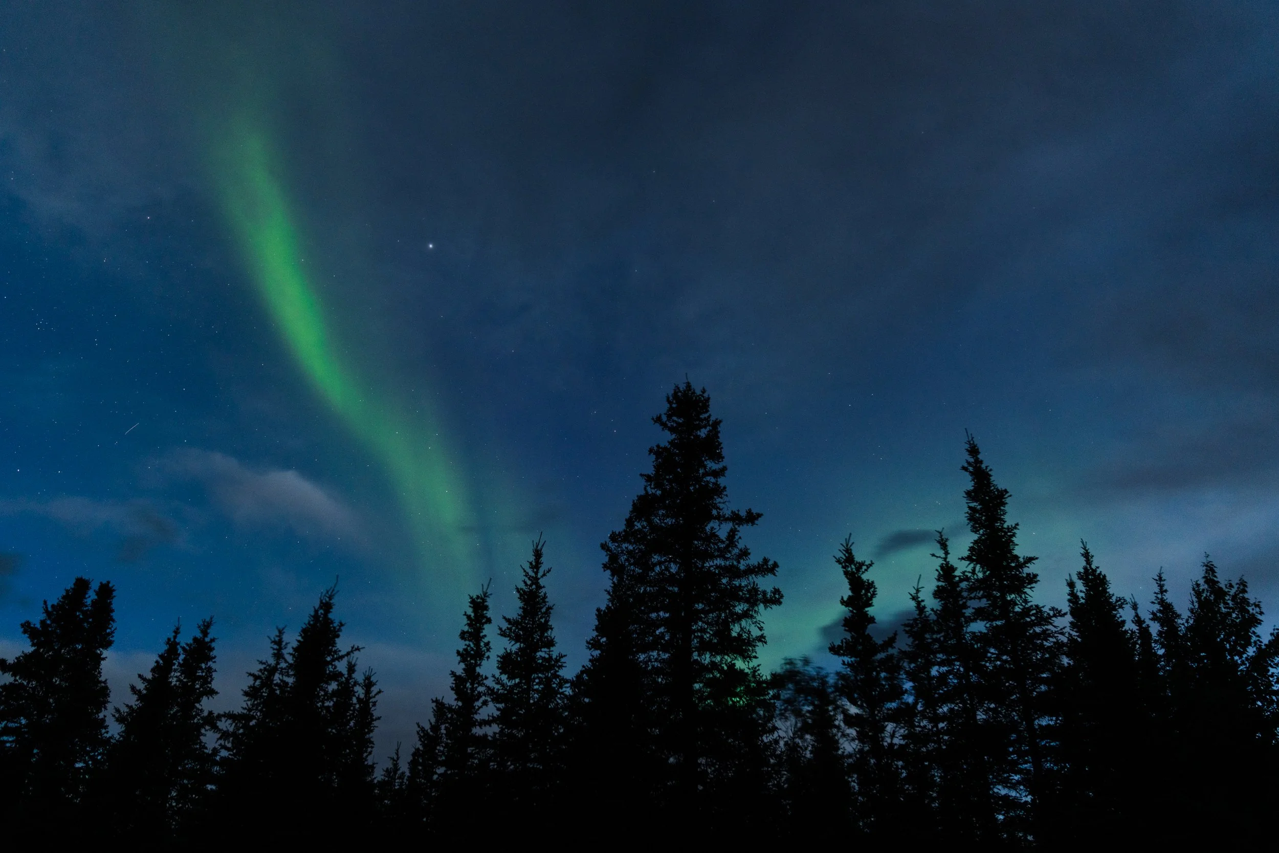 August 17, 2022_Denali_331.jpg