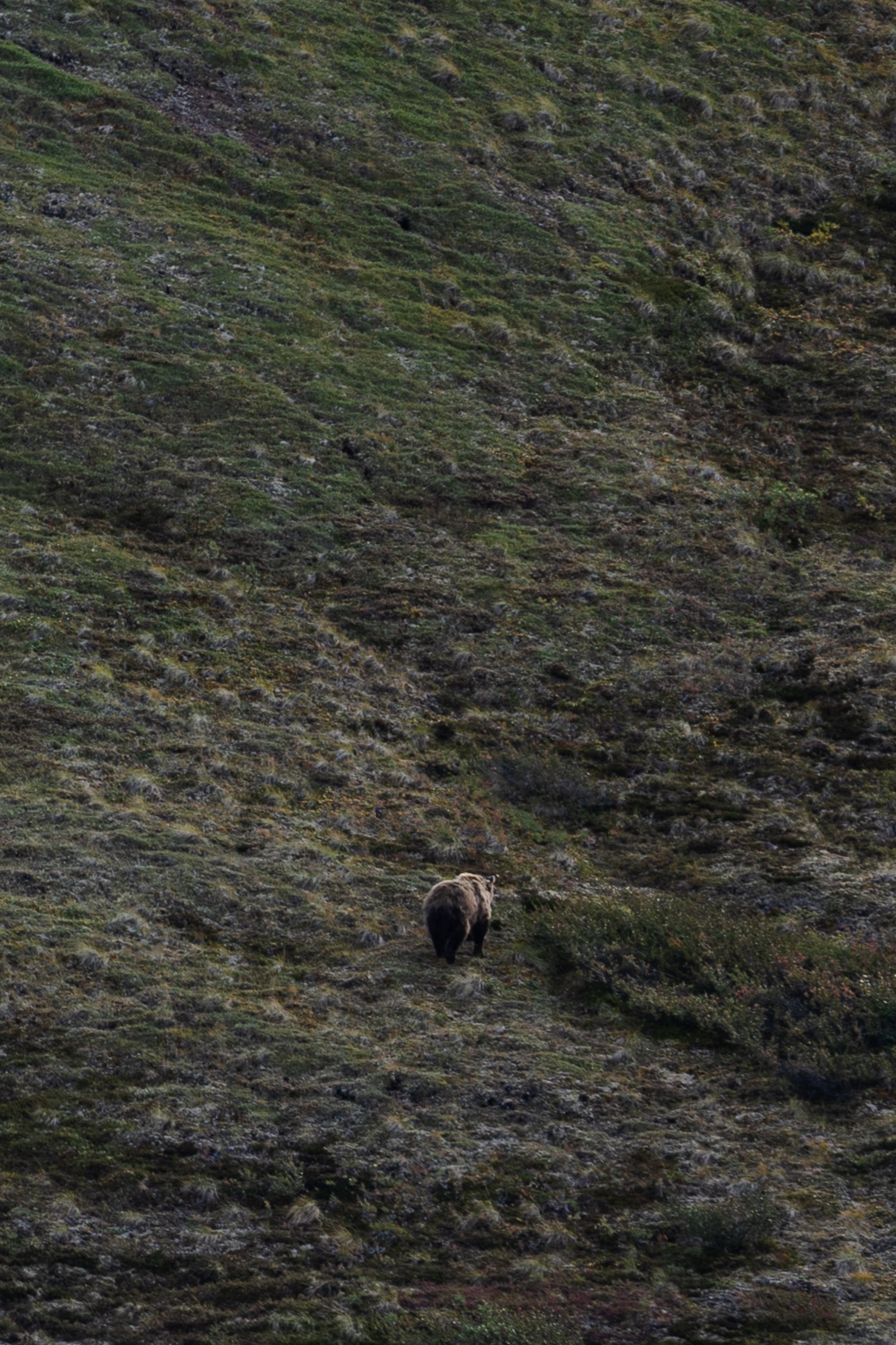 August 18, 2022_Denali_416.jpg