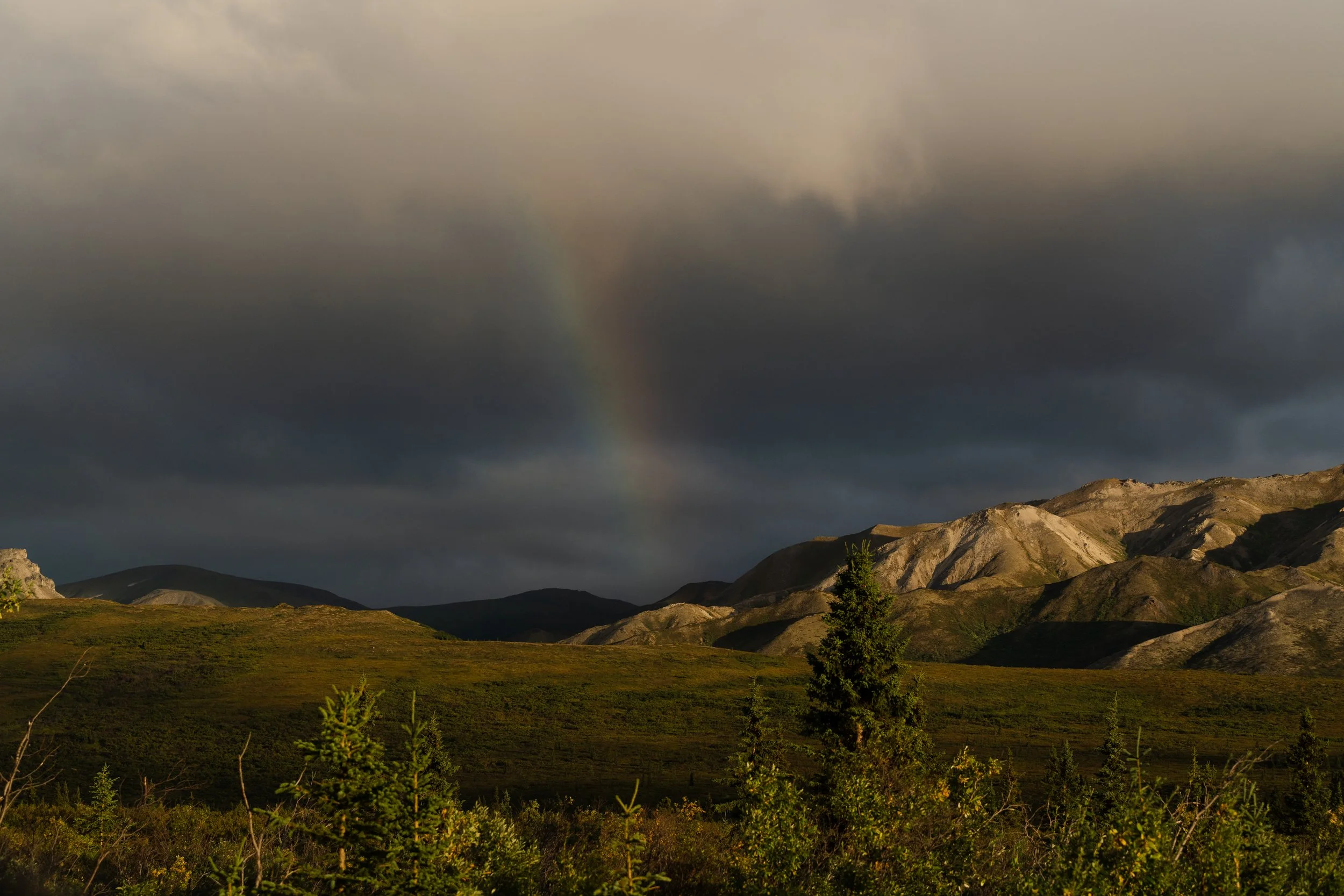 August 20, 2022_Denali_1100.jpg