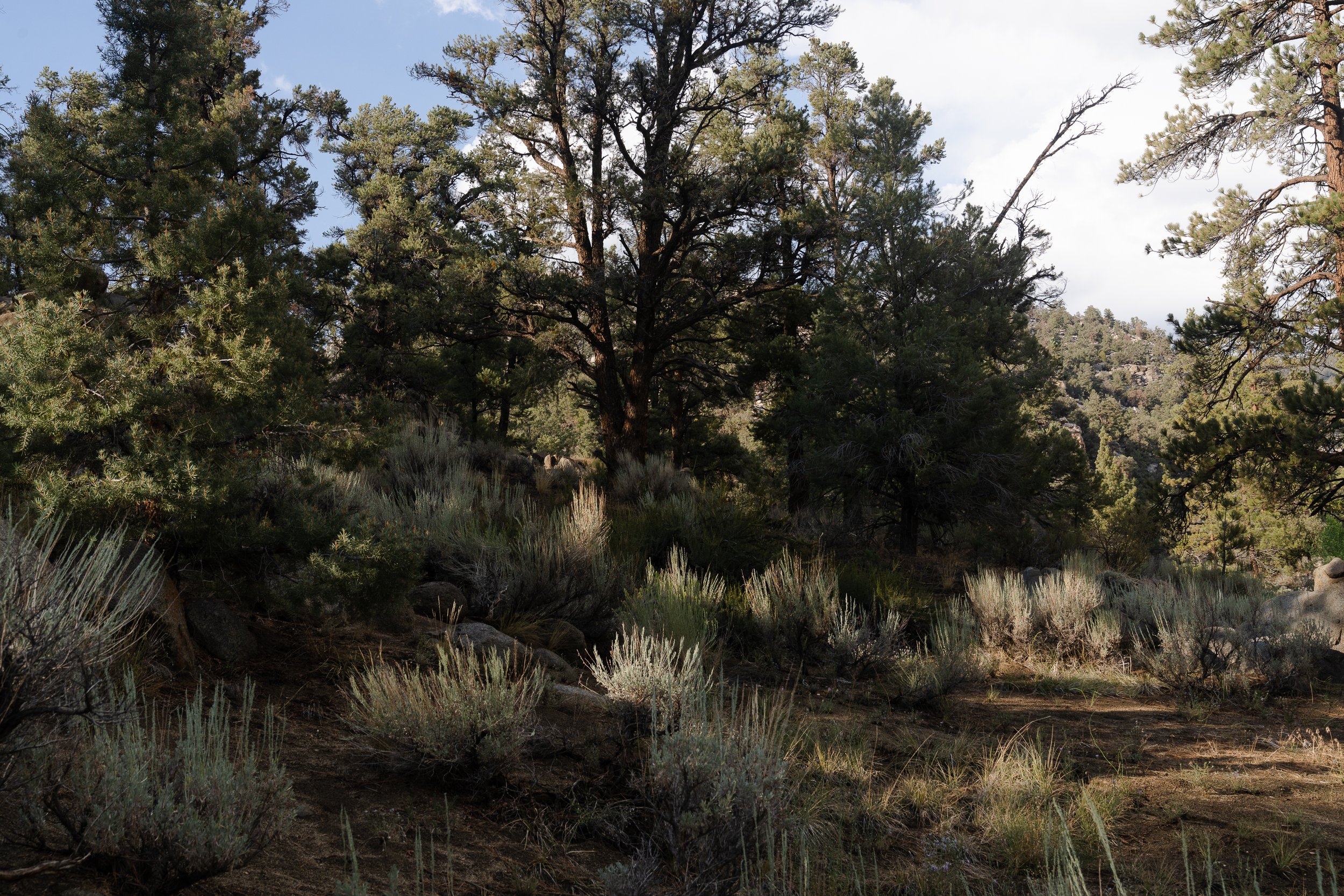 August 1, 2022_Ryan Campground to Kennedy Meadows_330.jpg