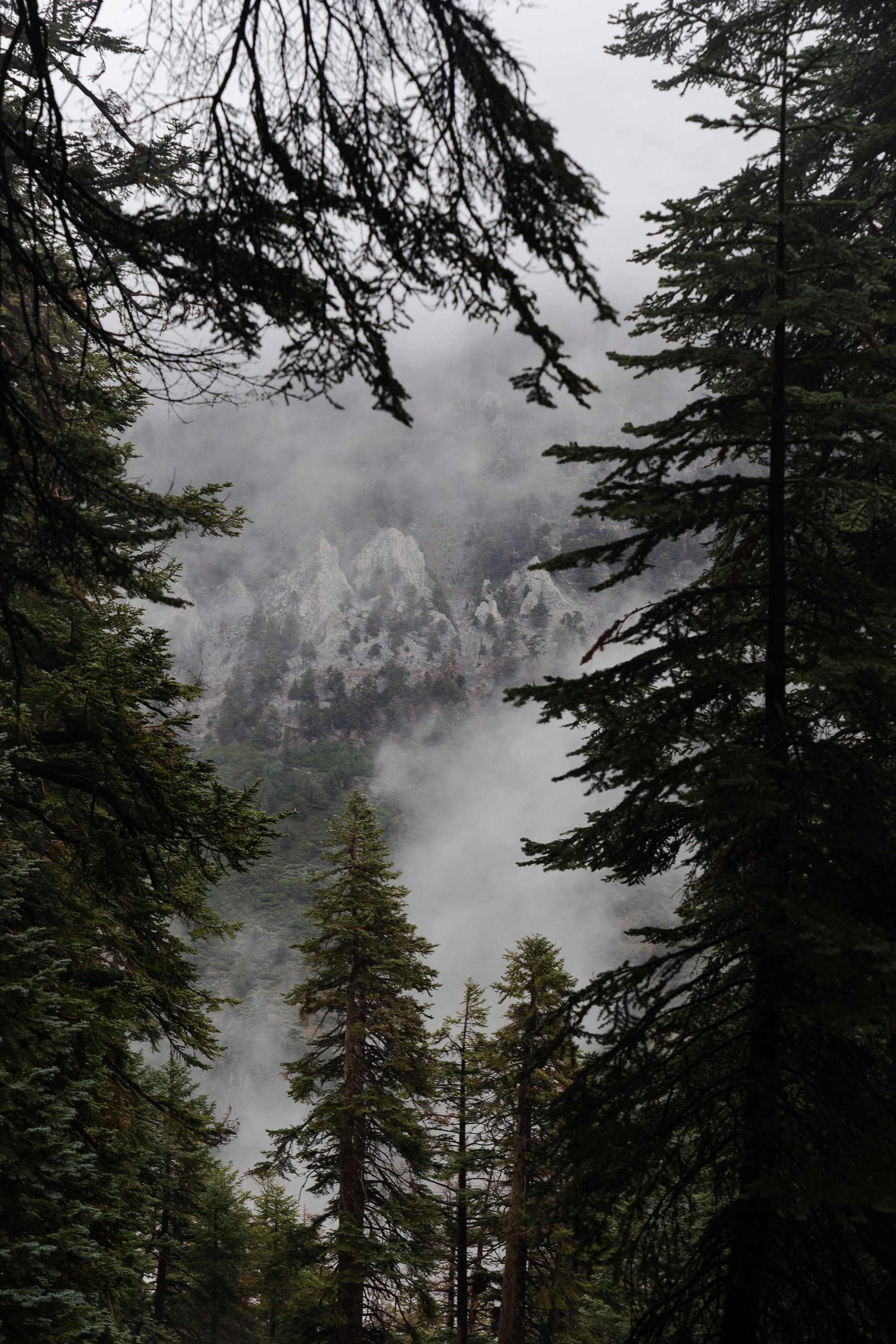 August 5, 2022_Mosquito Lake to Moraine Campground_737.jpg