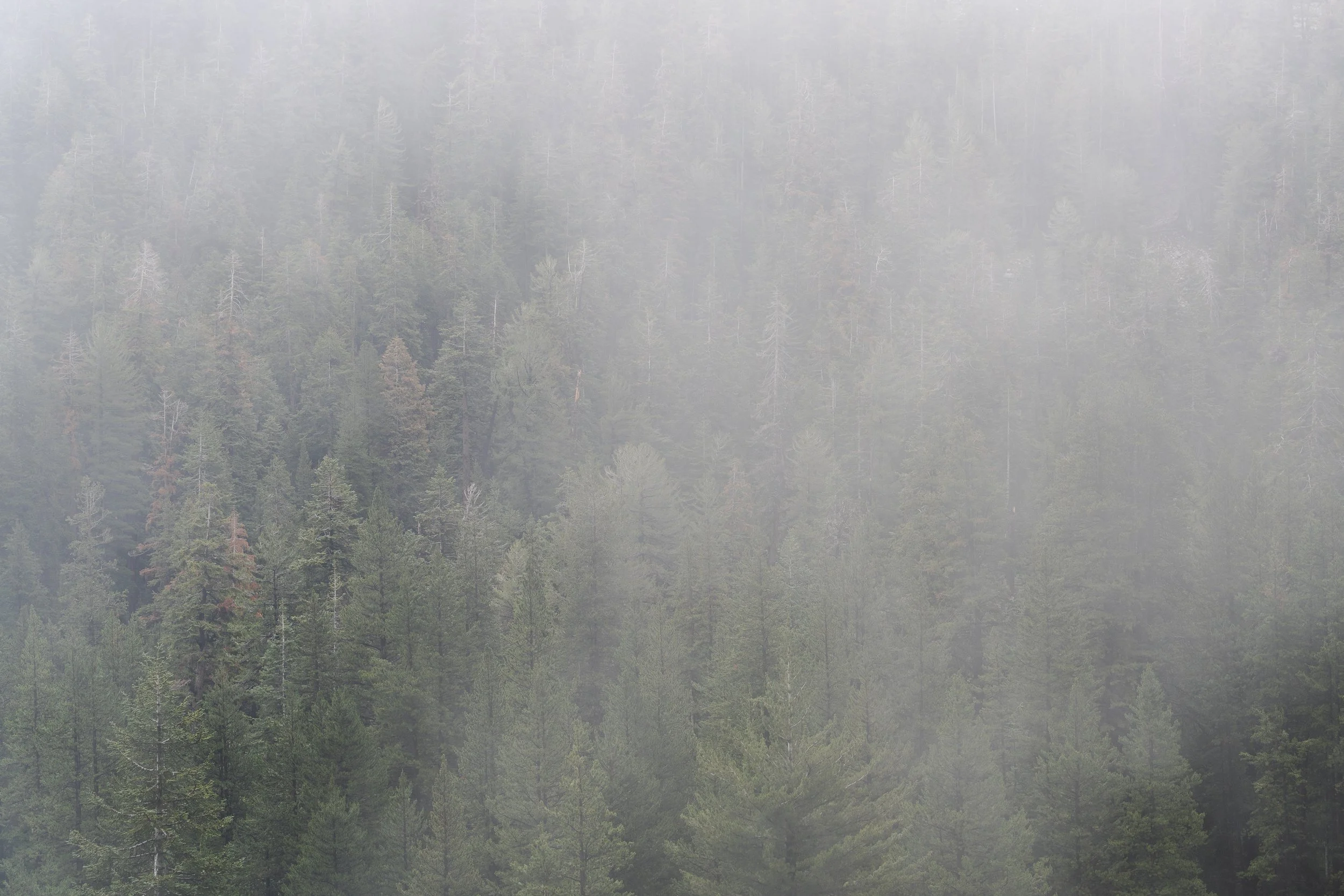 August 5, 2022_Mosquito Lake to Moraine Campground_795.jpg