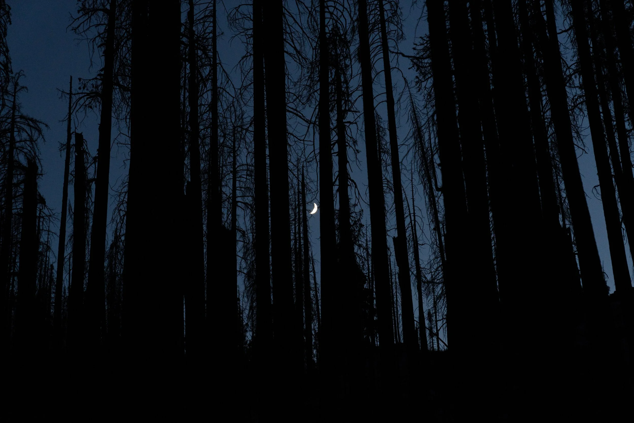 August 2, 2022_Kennedy Meadows to Nelson Trail_474.jpg