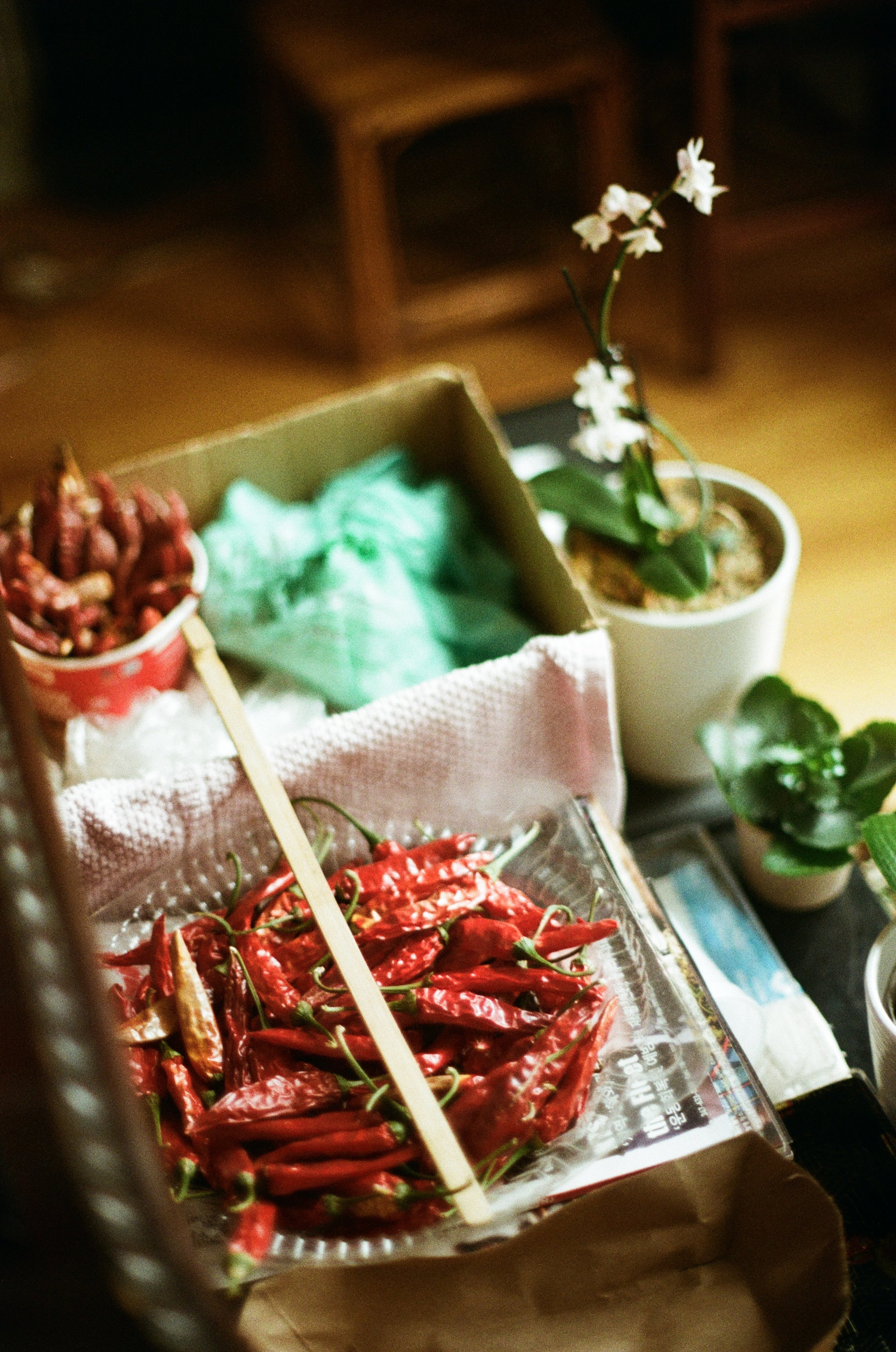 April 12, 2024_New Jersey_07.JPG