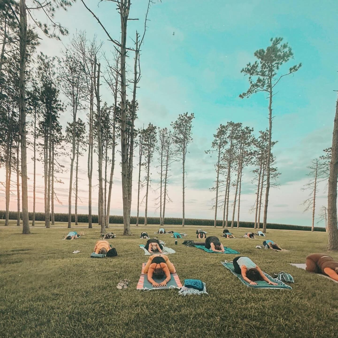 It&rsquo;s a cute coincidence that Earth Day falls during Stress Awareness Month&hellip; but also, maybe not a coincidence at all.

Because if there&rsquo;s one place we instinctively go when we&rsquo;re overwhelmed, dysregulated, or just plain tired