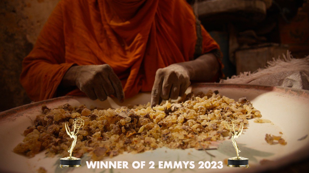 Winner of 'Outstanding Video journalism' and 'Best Business documentary' at the 2023 News and Documentary Emmys.
