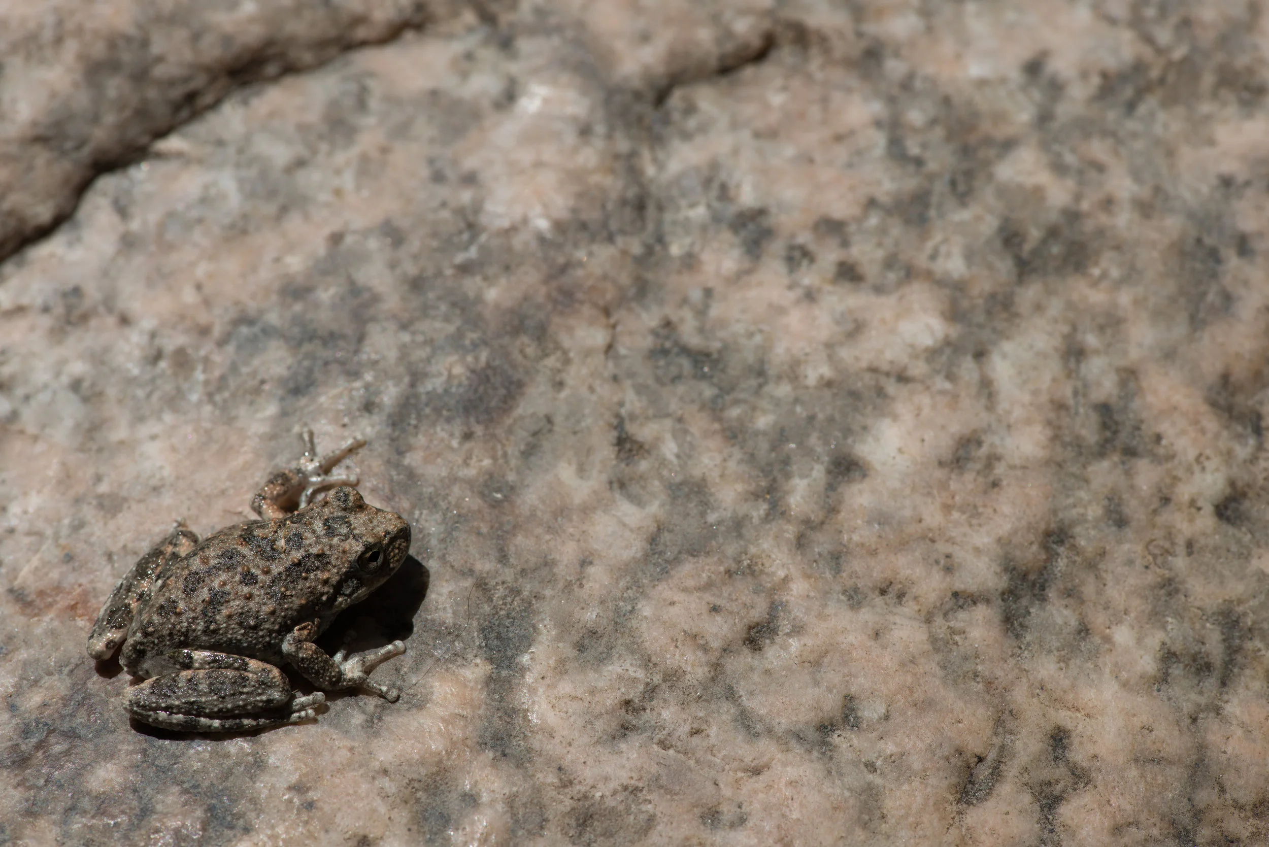 DSC_1678.jpg