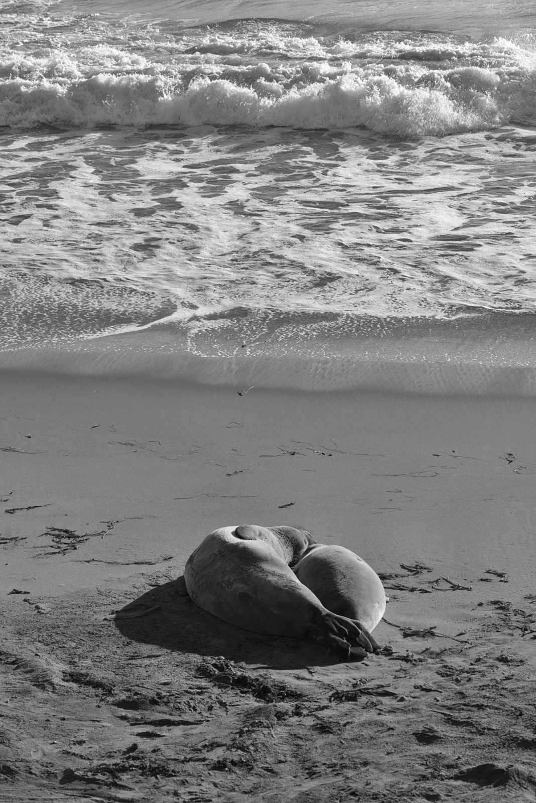 DSC_8504-Edit.jpg