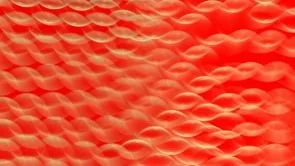 life_move_non_binary