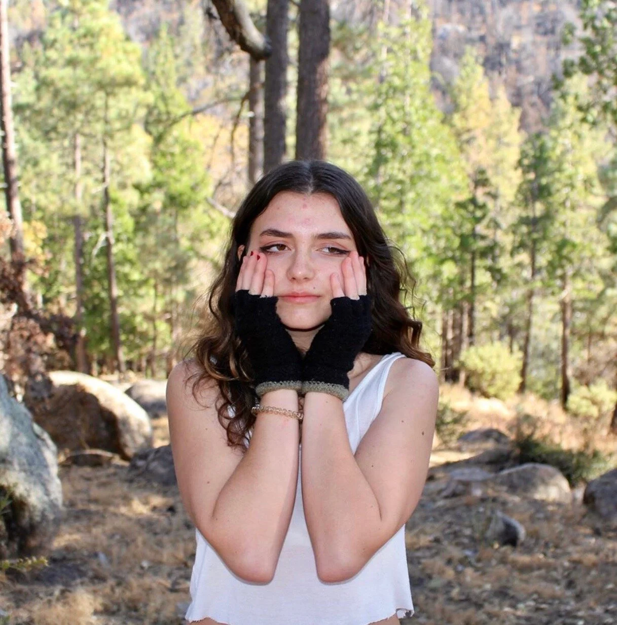 TEENAGE DIARIES: Pseudohistory