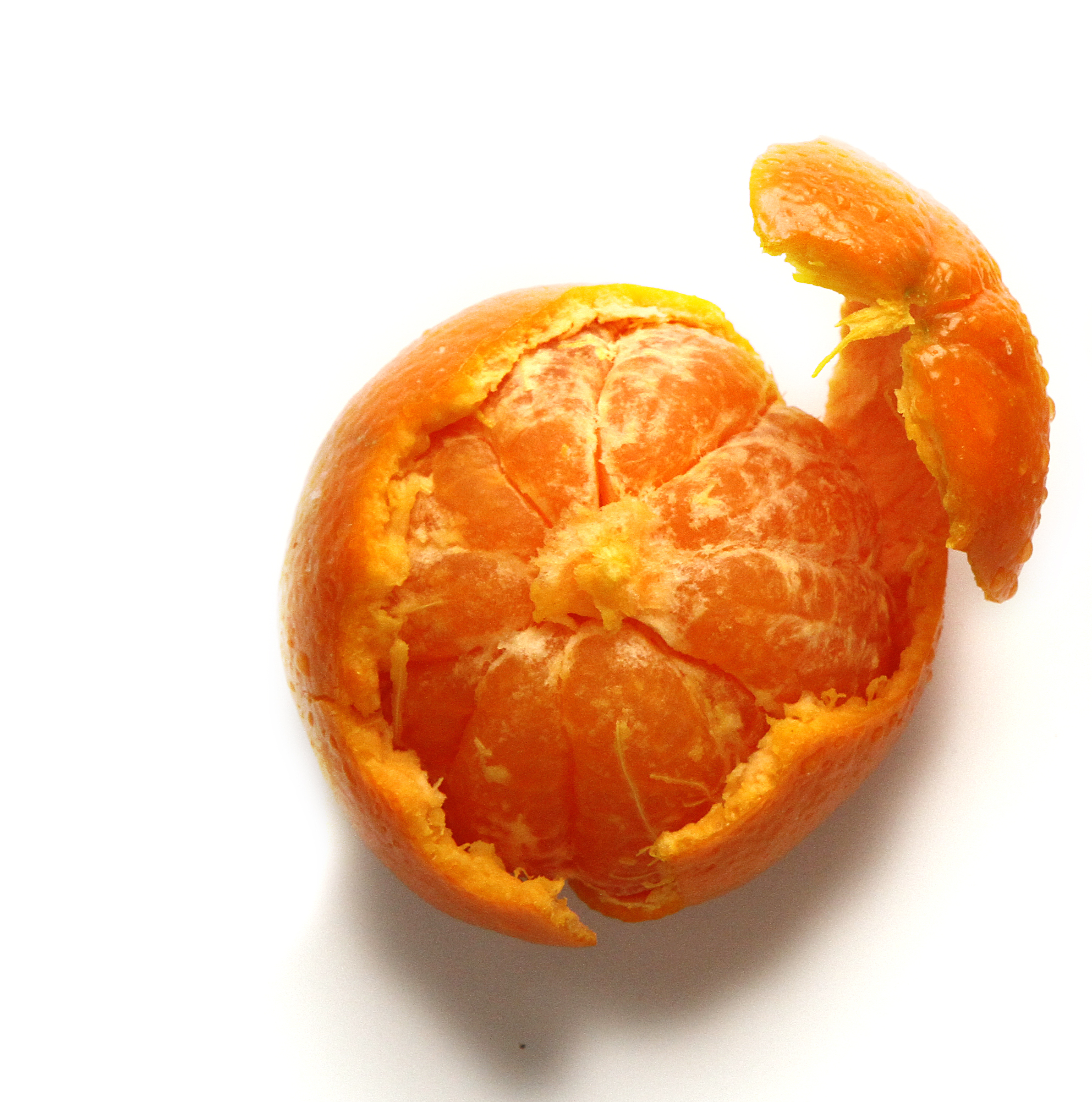 Betsy_corsiglia_orange.jpg