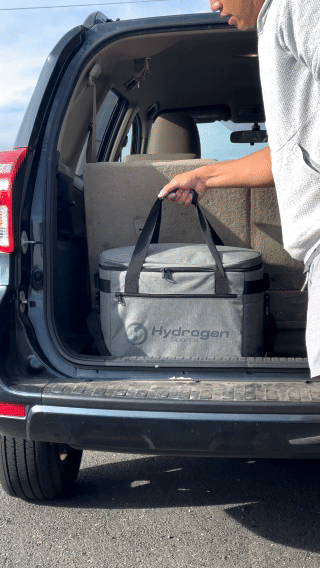 Roller Bag GIF (compressed).gif