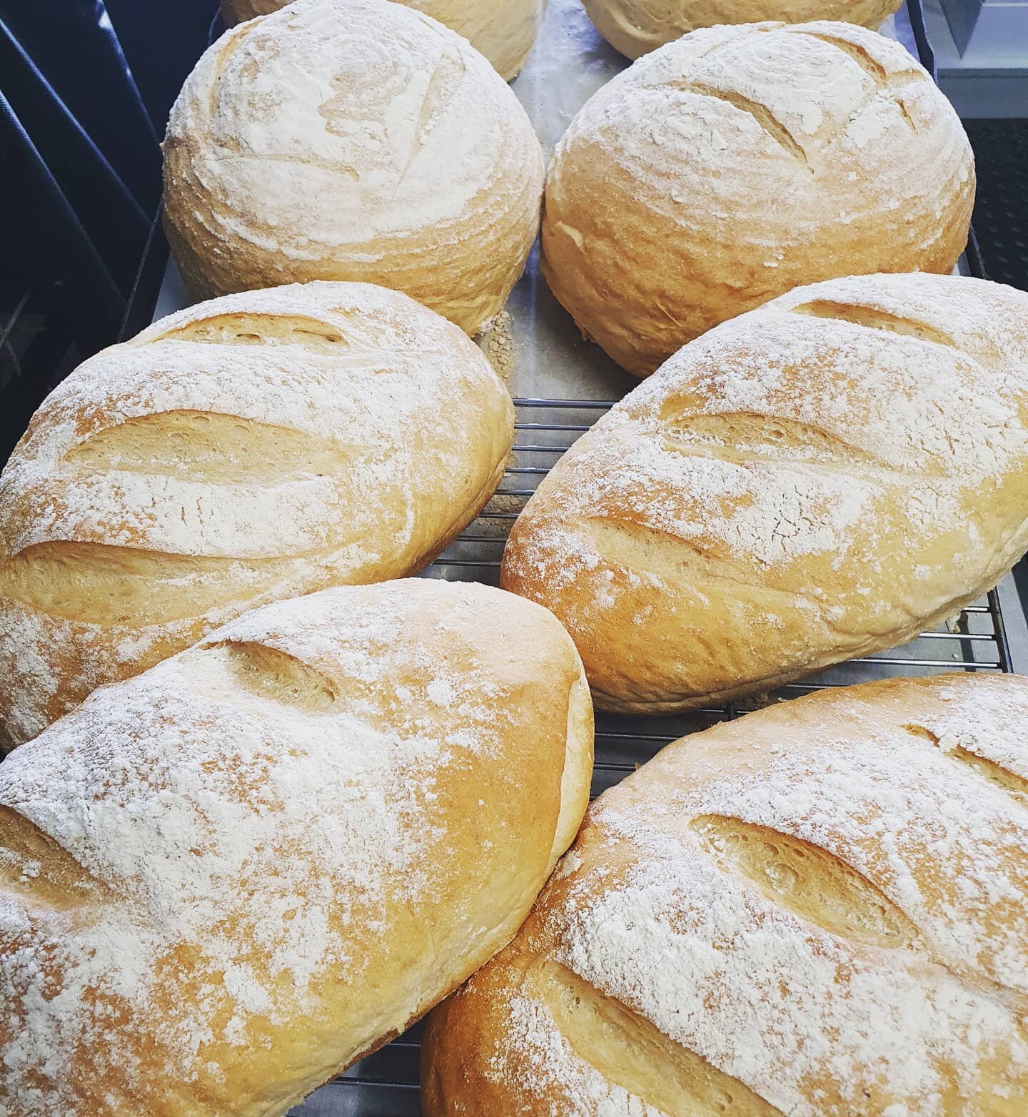 the bake shop on govett