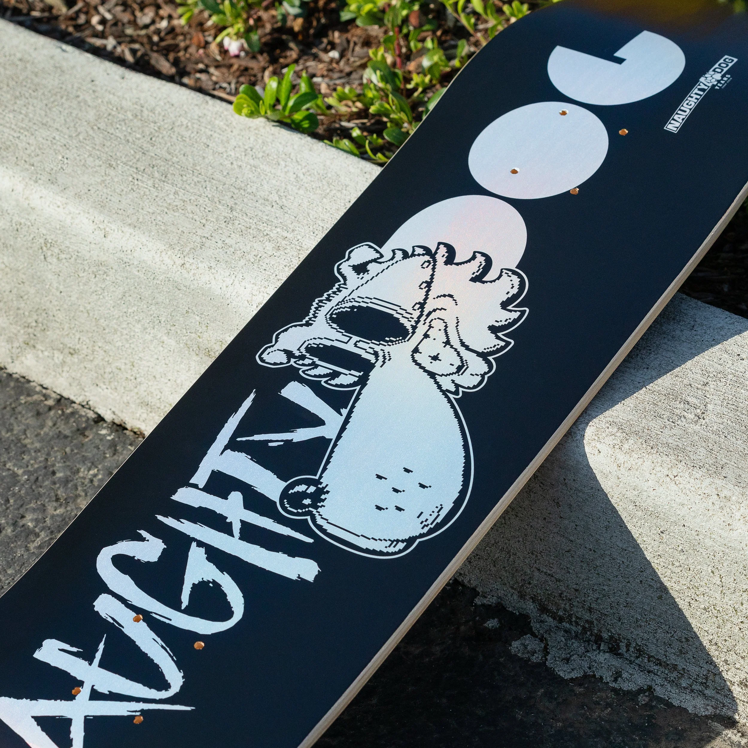ND_SKATE_DECK_LOGO_PHOTO_06.jpg