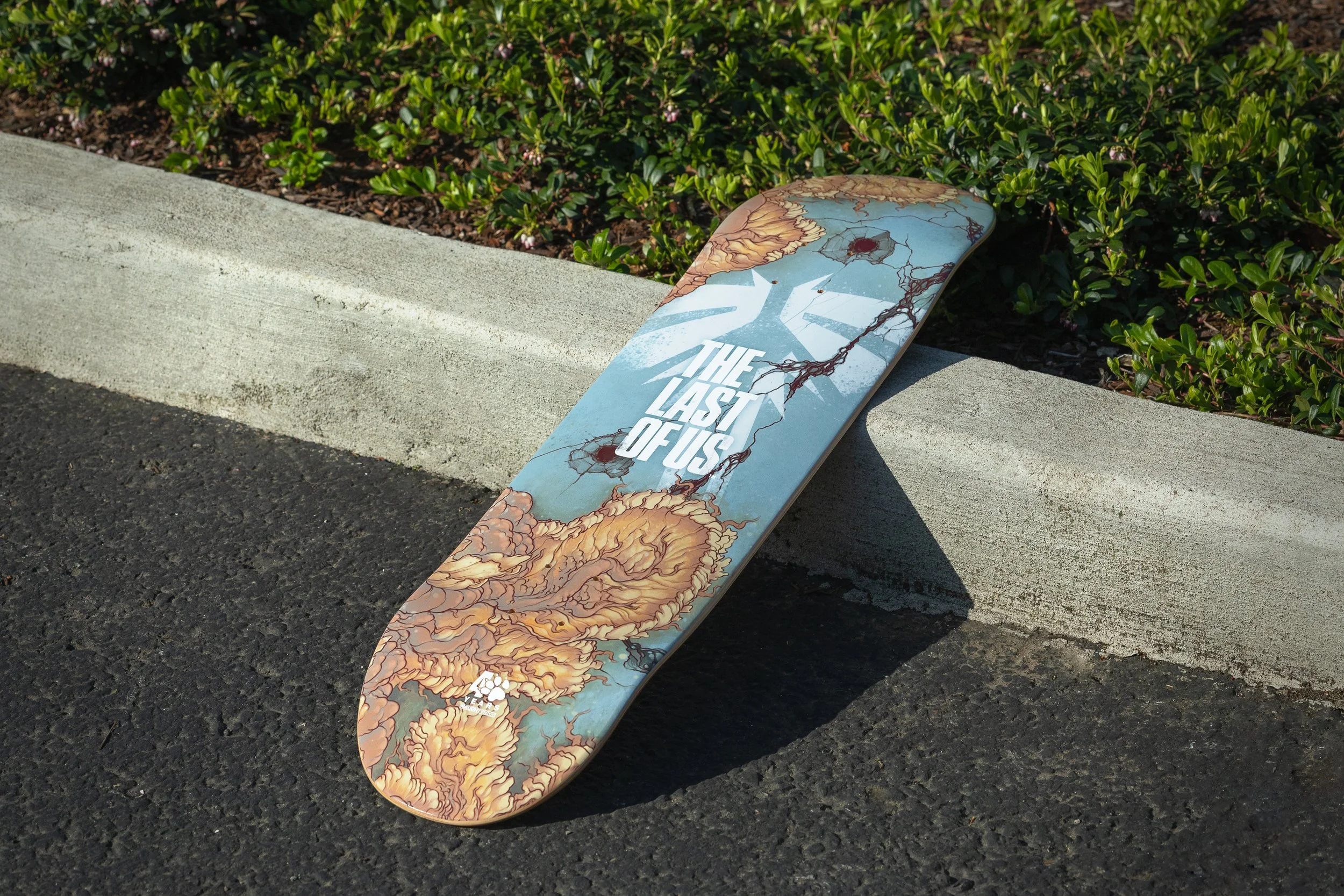 ND_SKATE_DECK_LOU_PHOTO_03.jpg