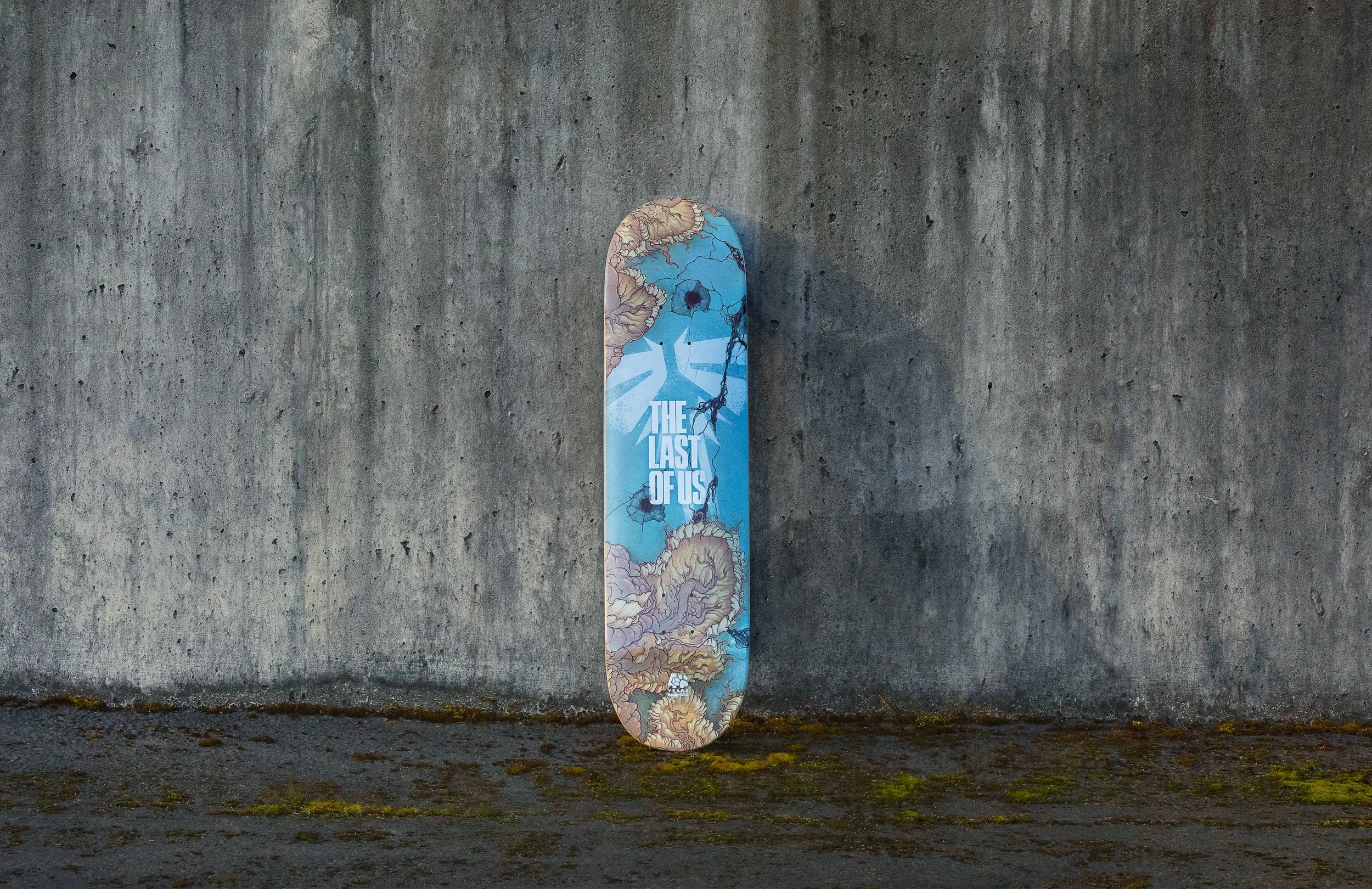 ND_SKATE_DECK_LOU_PHOTO_02.jpg