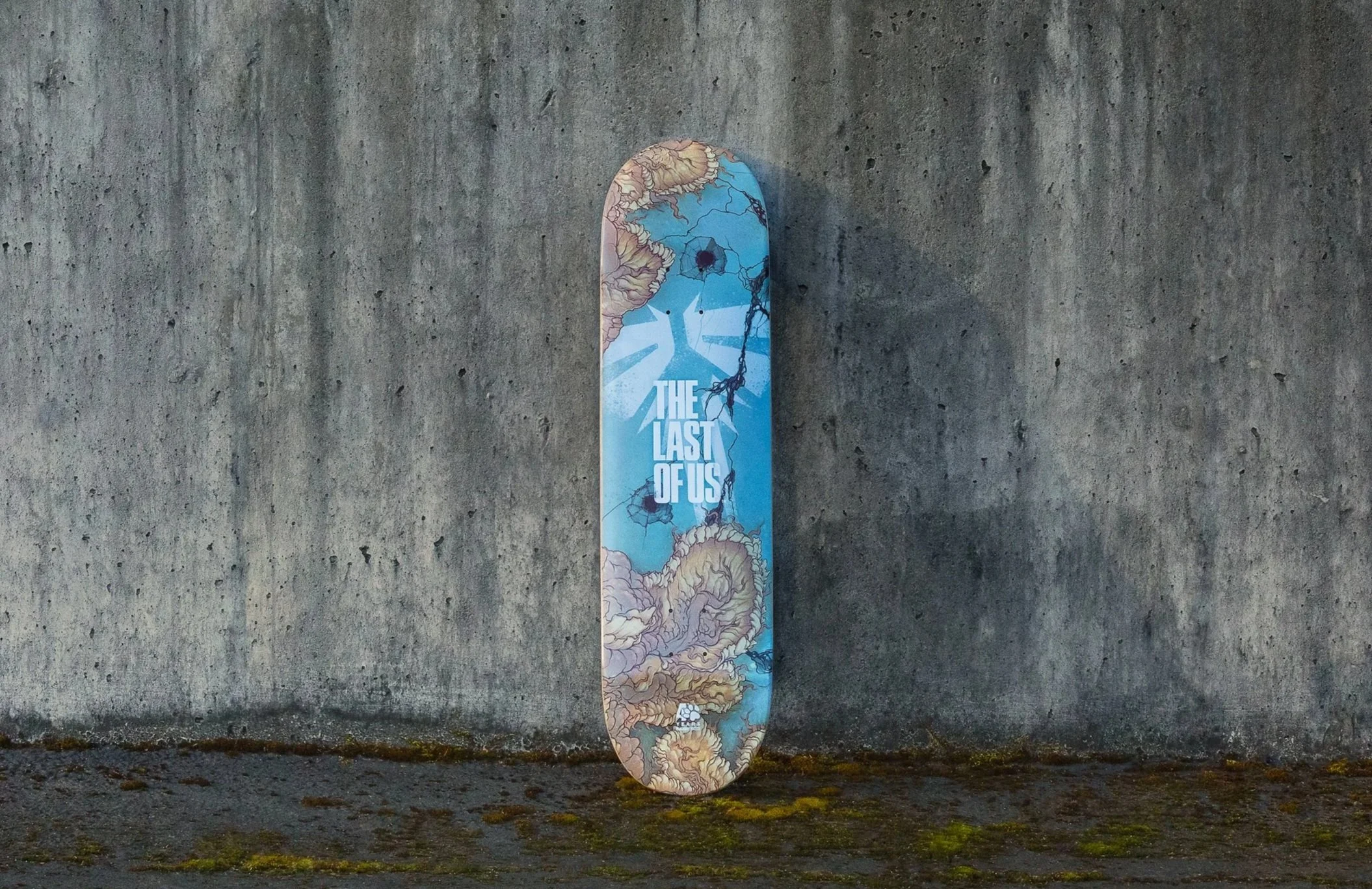 Naughty Dog Skate Decks