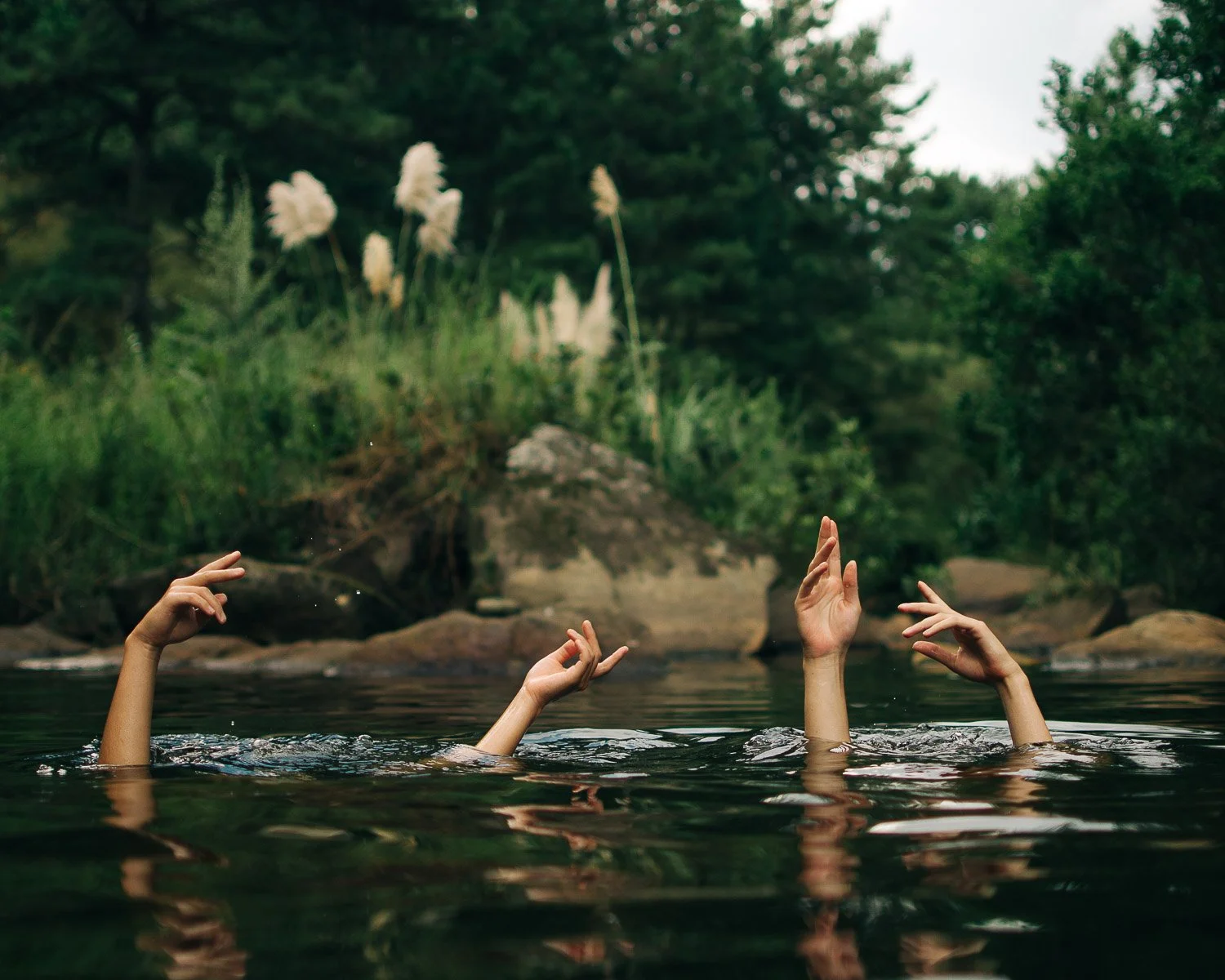 papagaiosweb (24).jpg