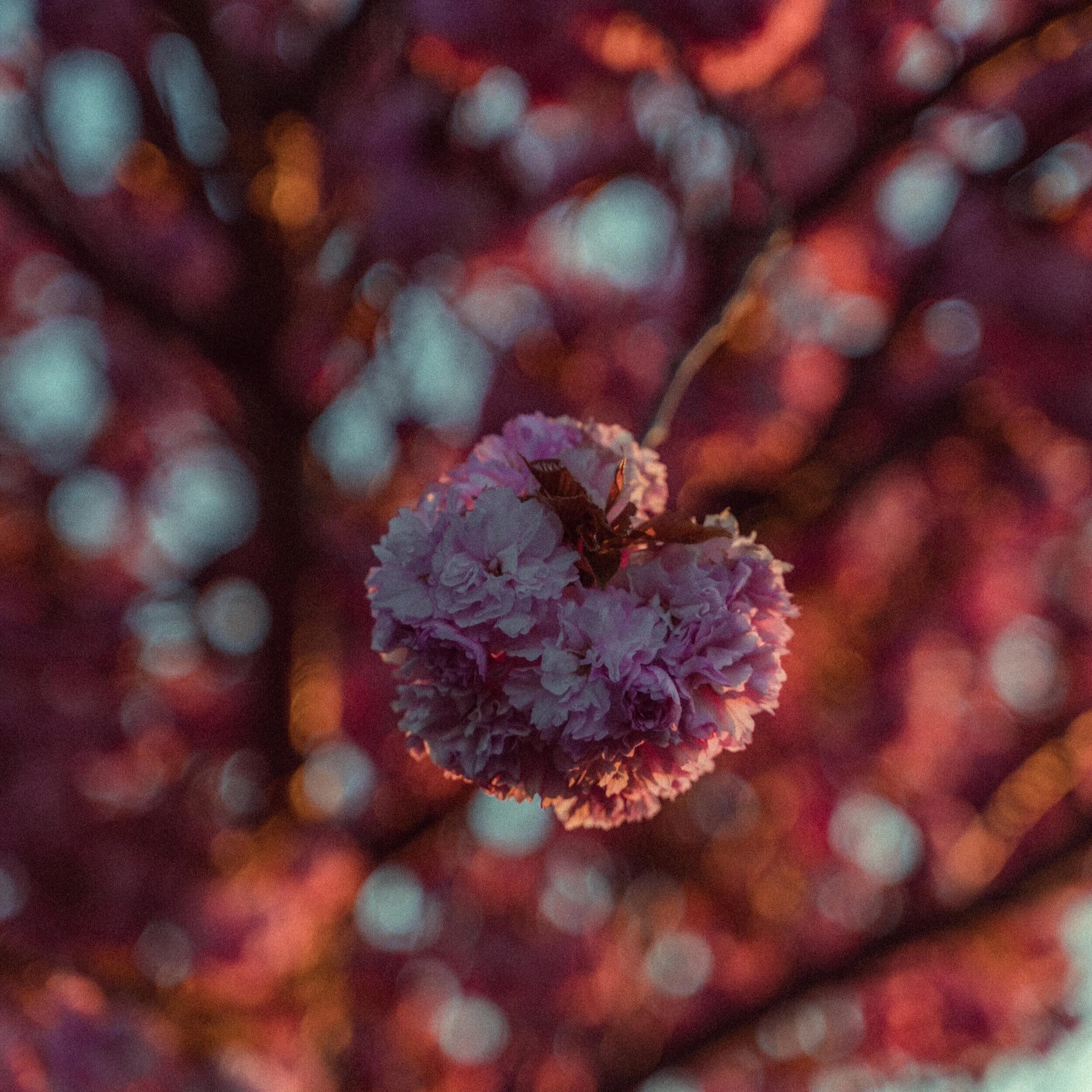 VIEW FROM A CAR WINDOW