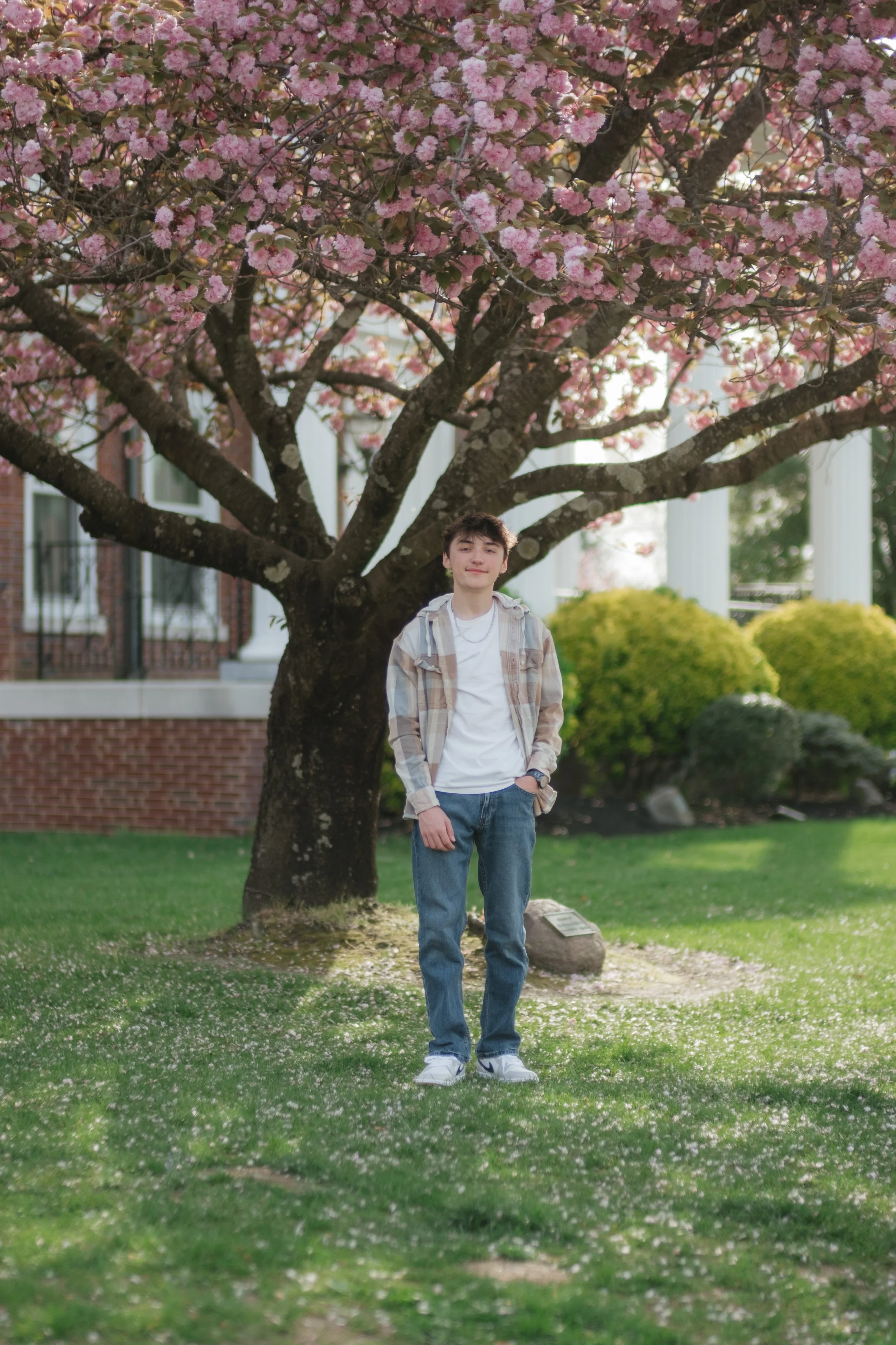 A young man standing on grass under a blooming pink cherry blossom tree, in front of a brick building with white columns.