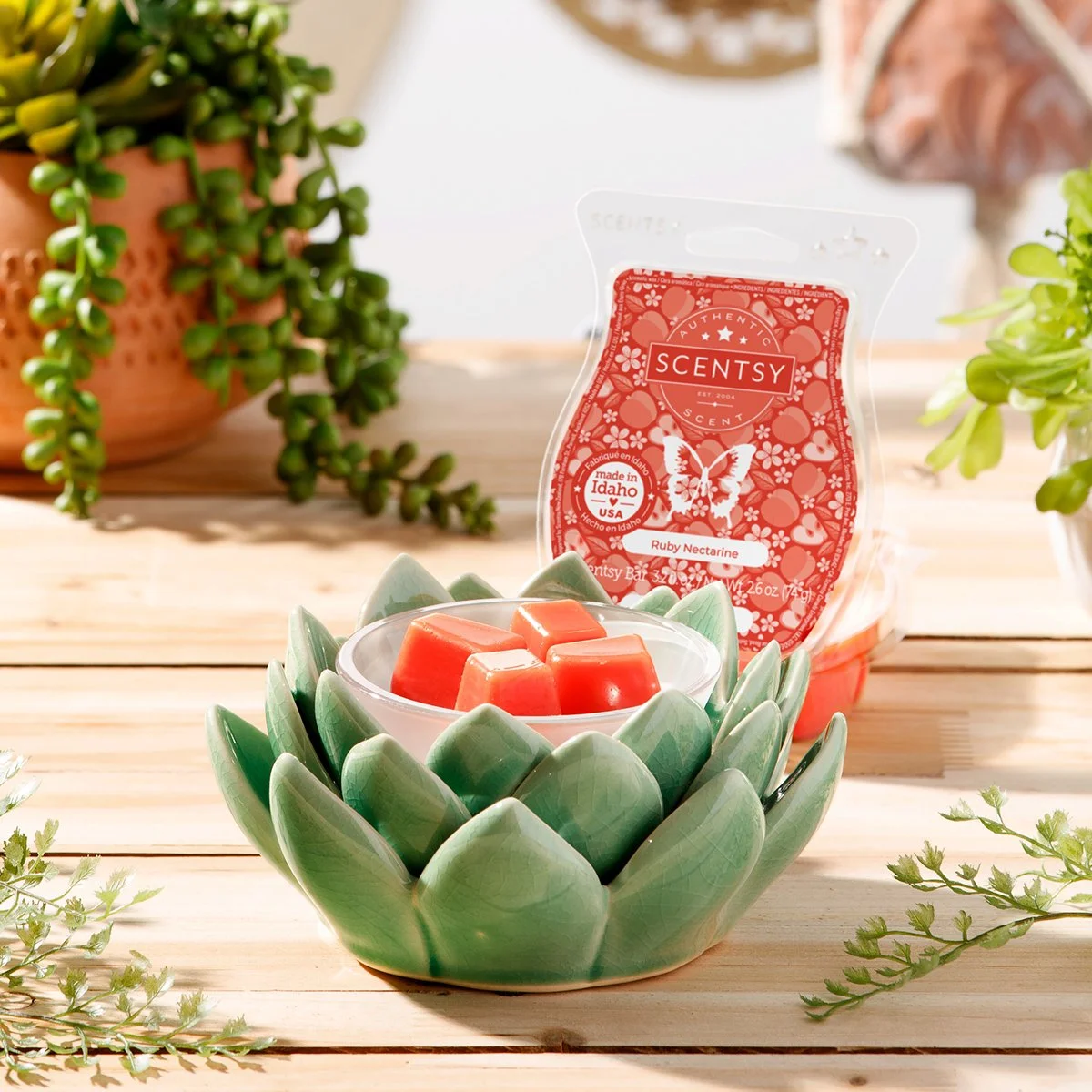 Scentsy Warmers Spring 2022