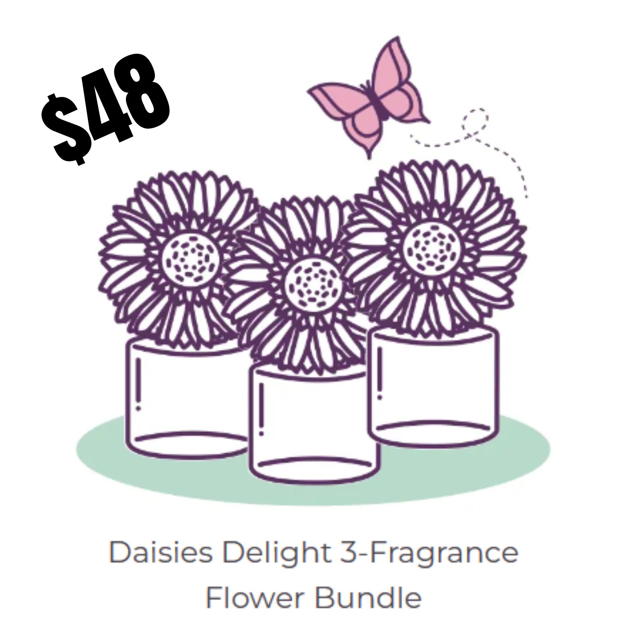 Daisies Delight 3-Scentsy Fragrance Flowers Bundle