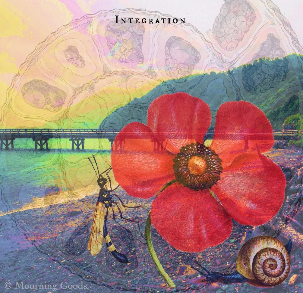 Integrating Grief and Life